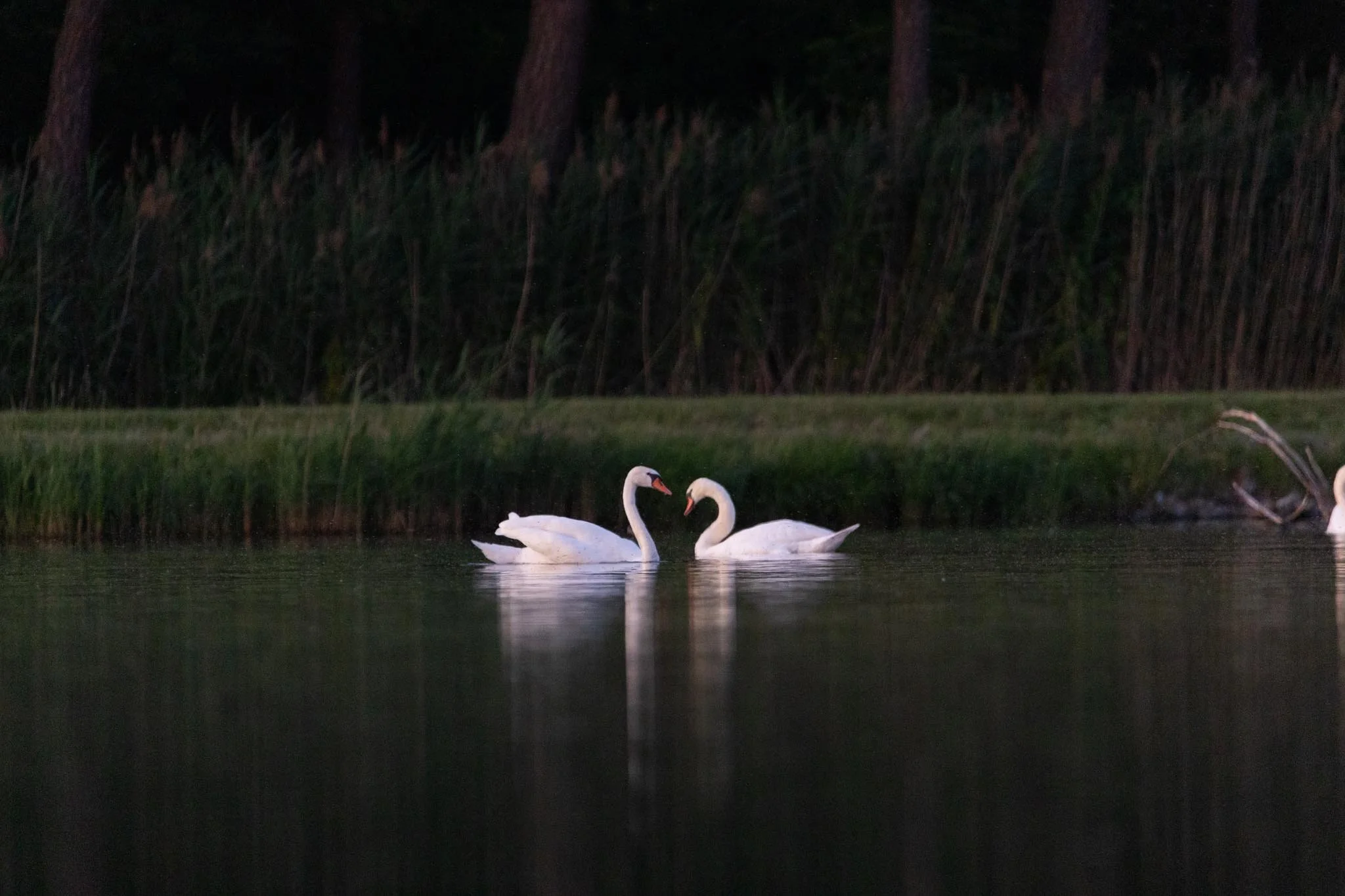 Fotos Webseite Aischgrund-254.jpg