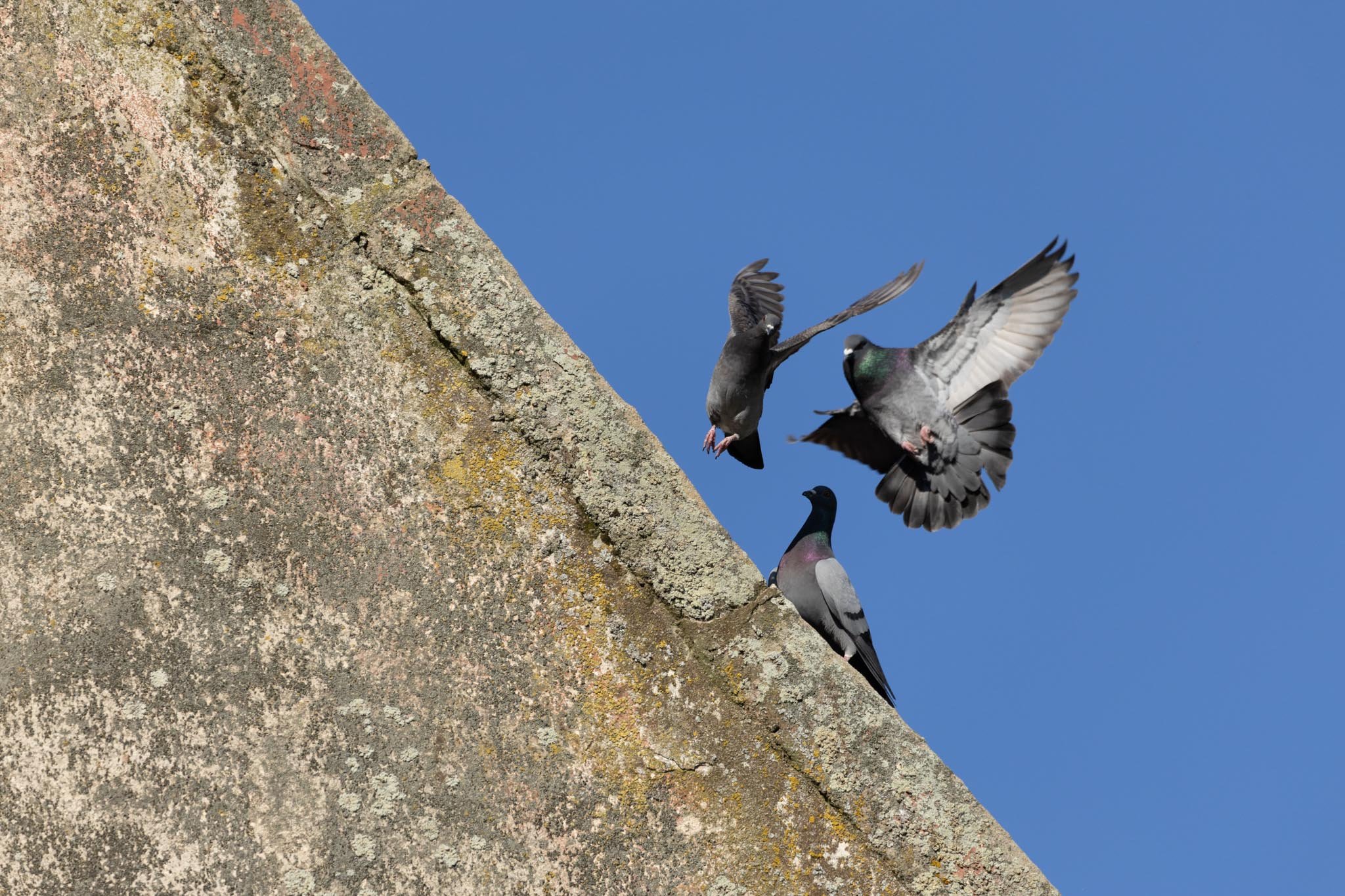 Fotos Webseite Aischgrund-302.jpg