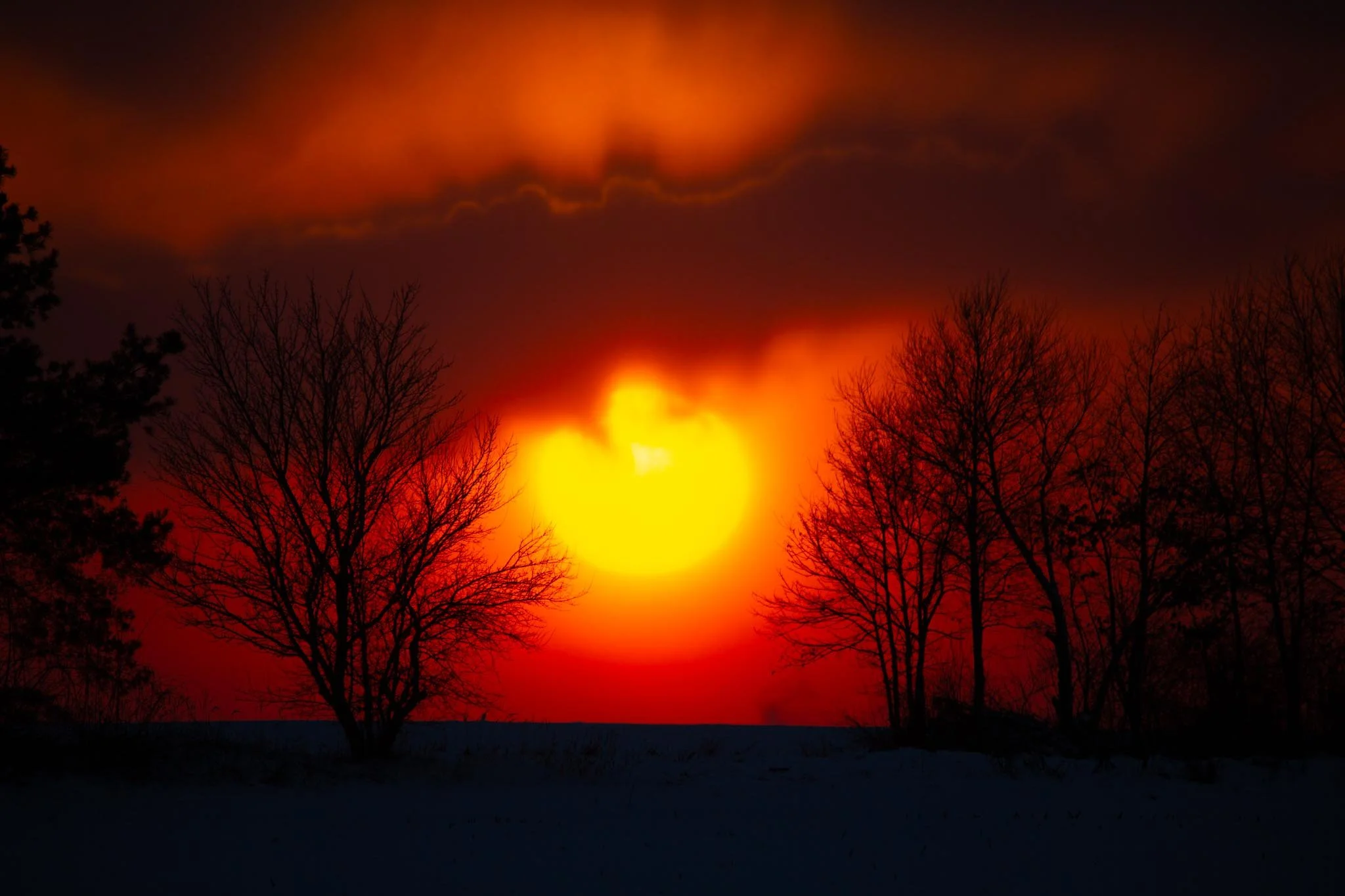 Fotos Webseite Aischgrund-51.jpg