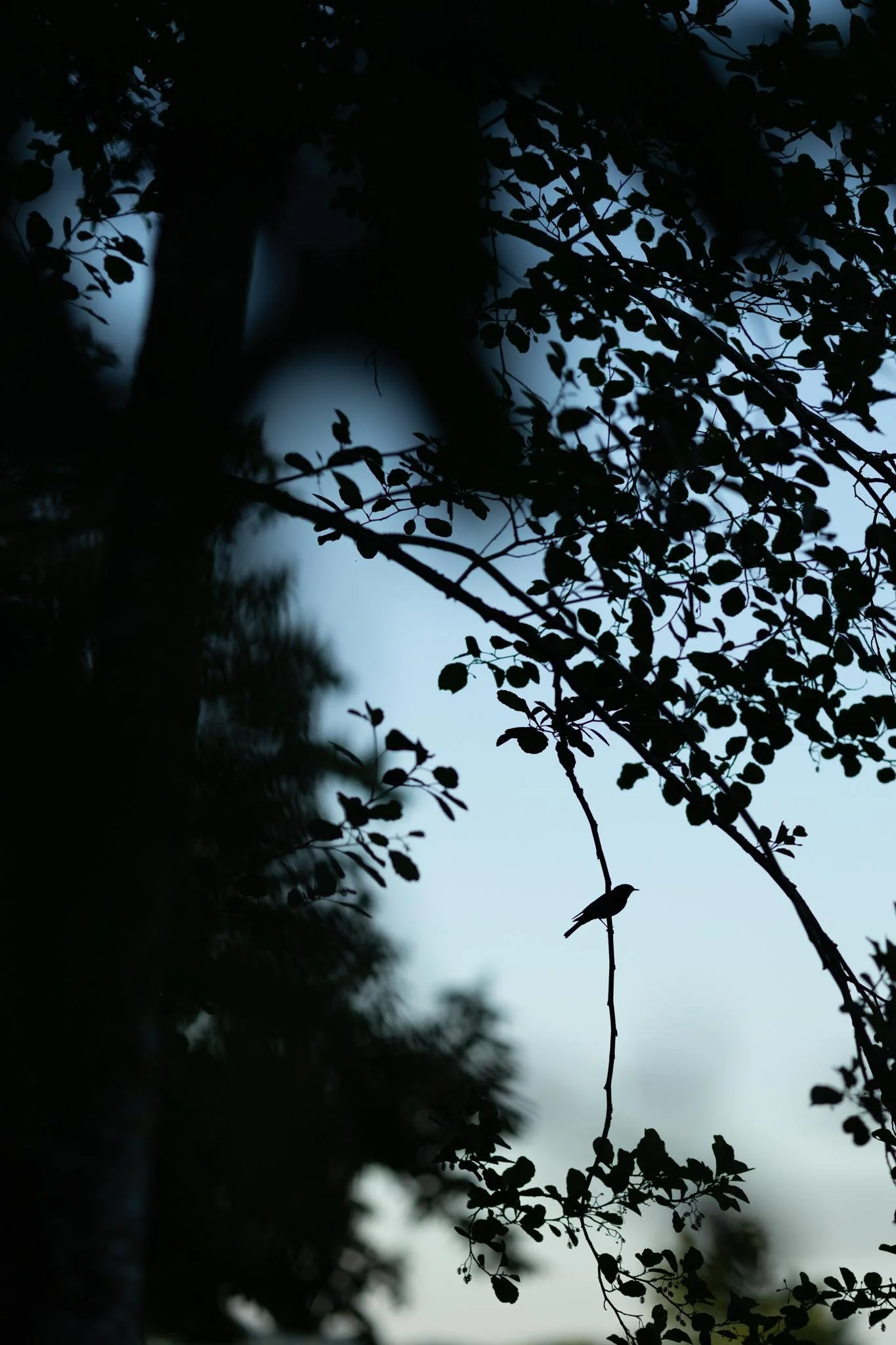 Fotos Webseite Aischgrund-319.jpg