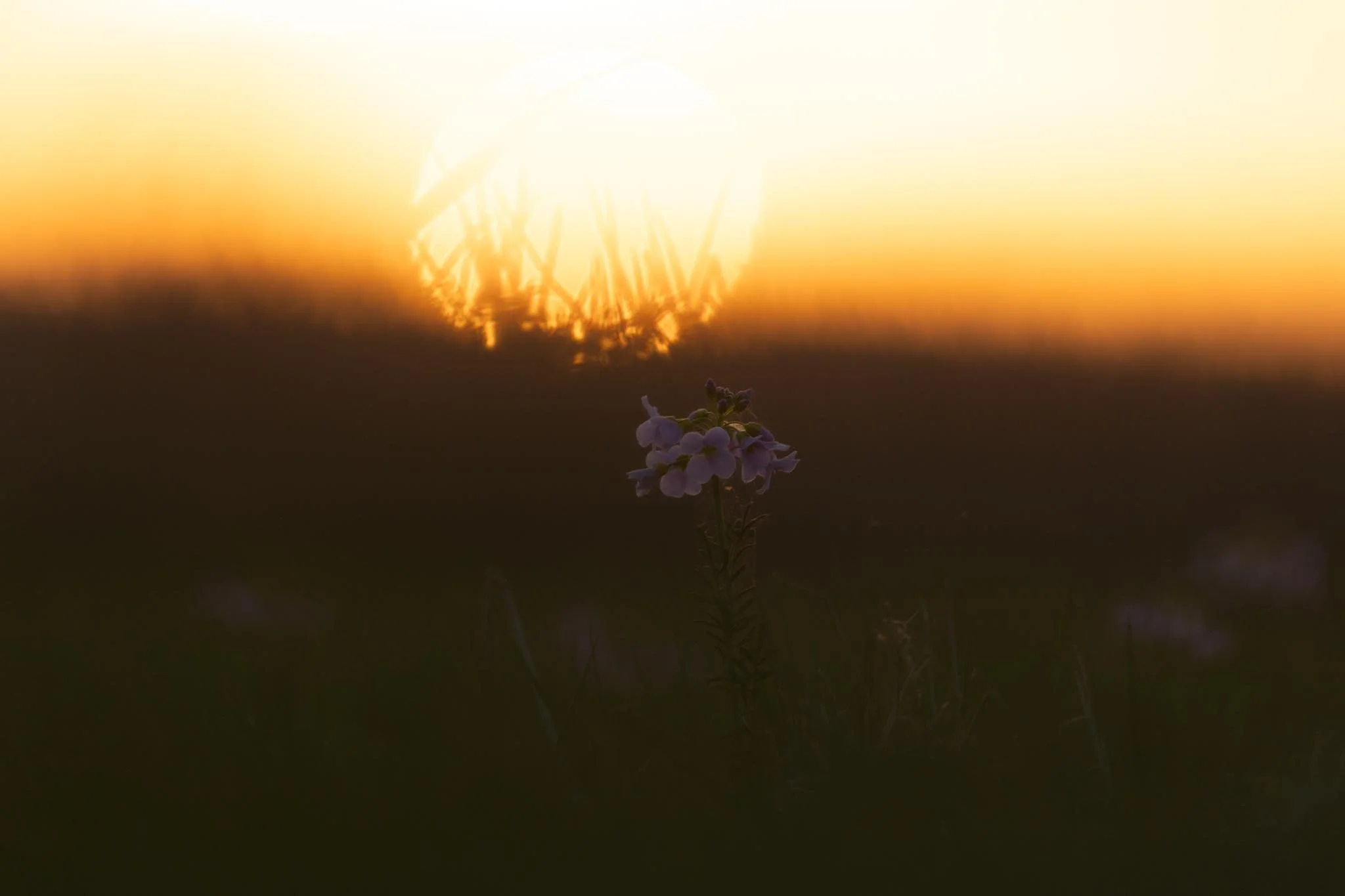 Fotos Webseite Aischgrund-294.jpg