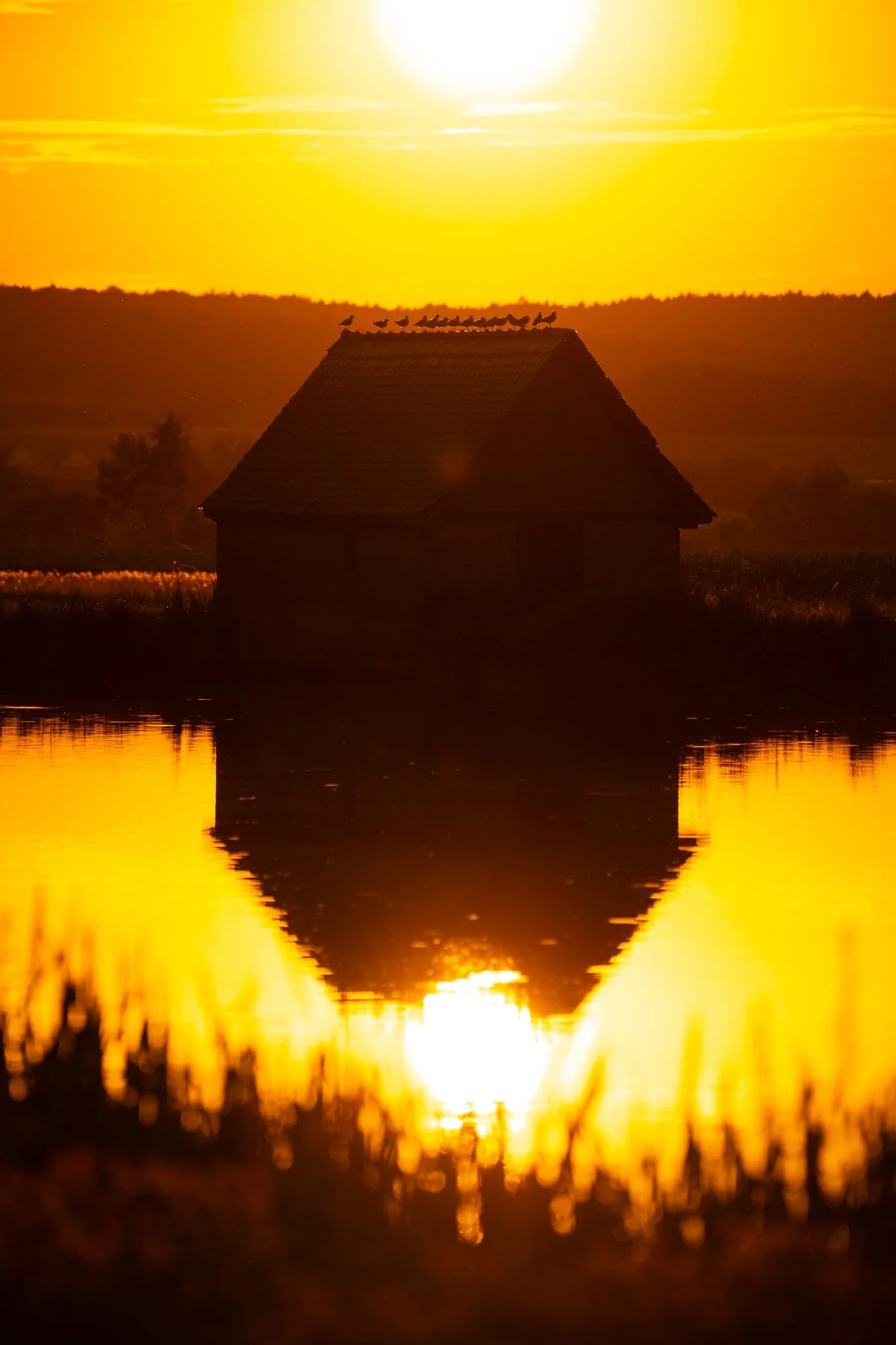 Fotos Webseite Aischgrund-34.jpg