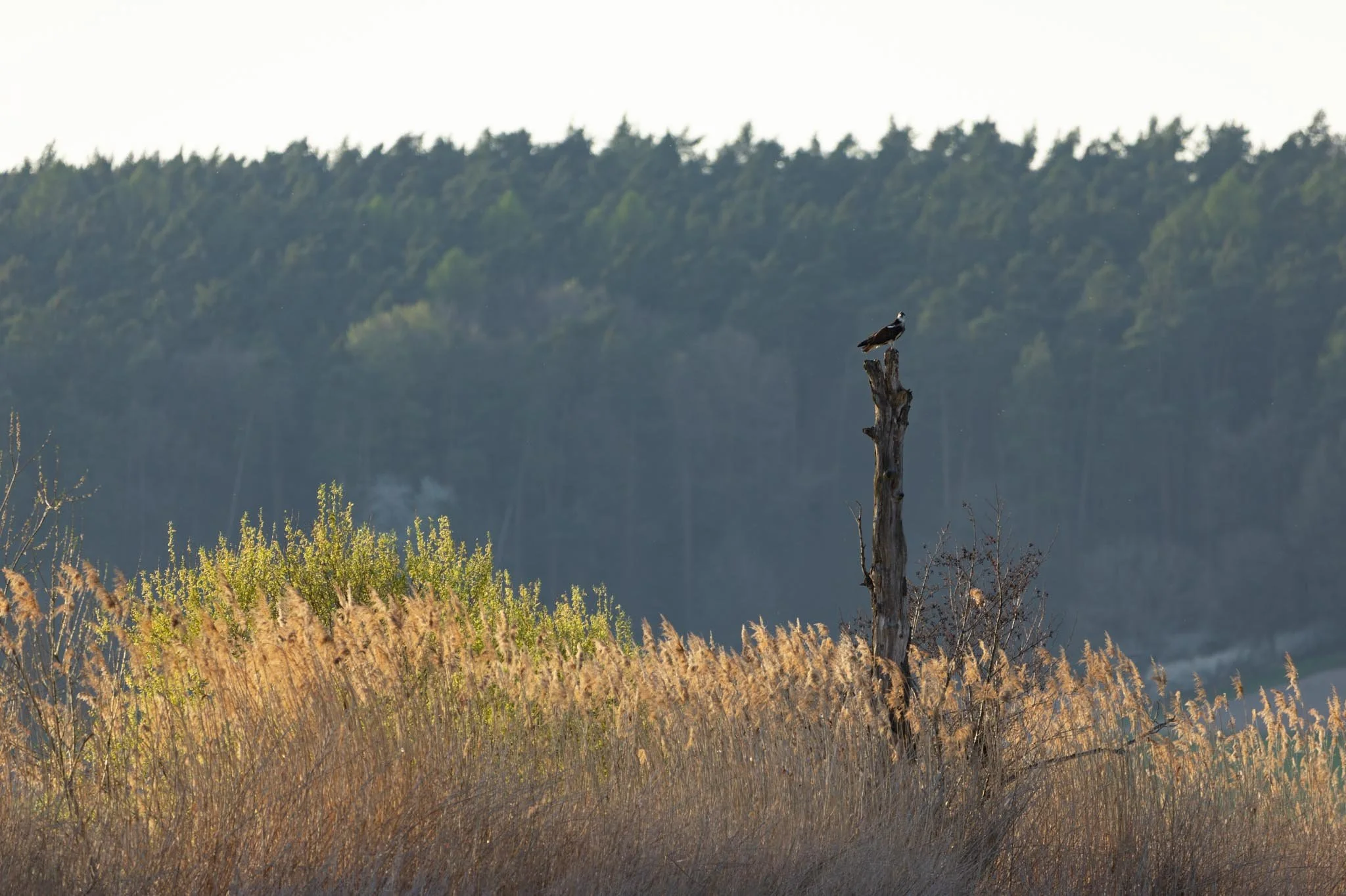 Fotos Webseite Aischgrund-292.jpg