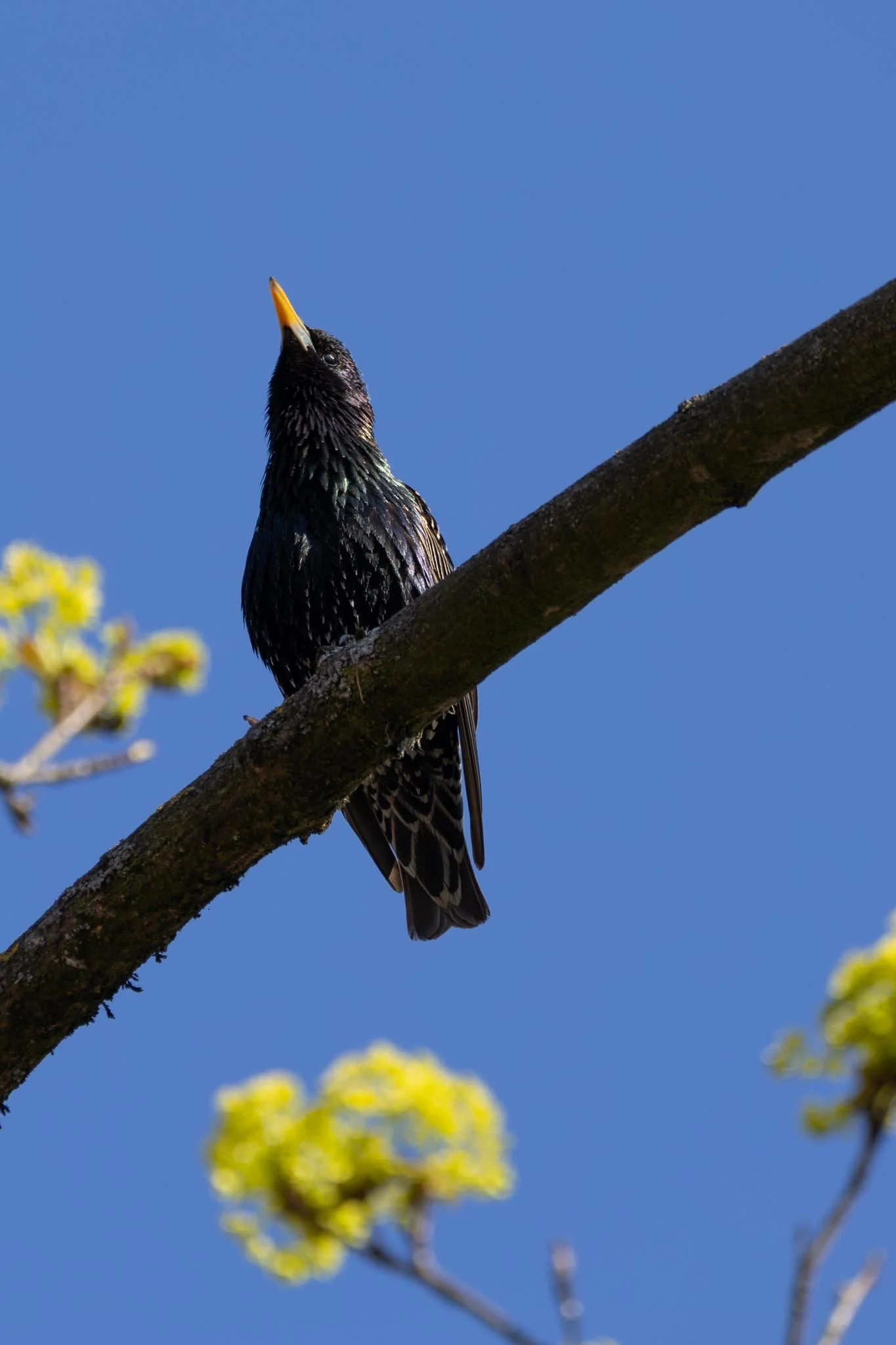 Fotos Webseite Aischgrund-287.jpg