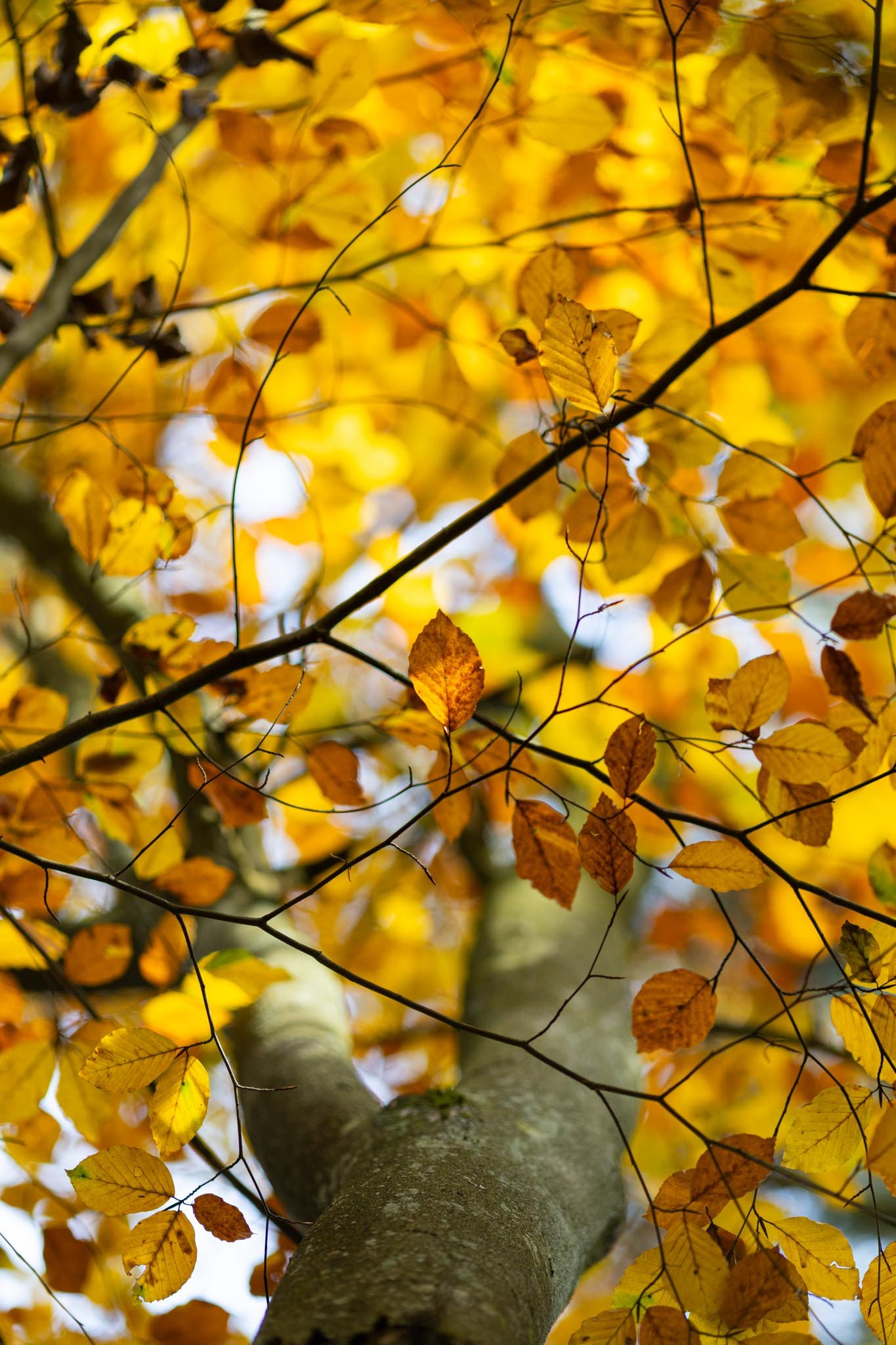 Fotos Webseite Aischgrund-191.jpg