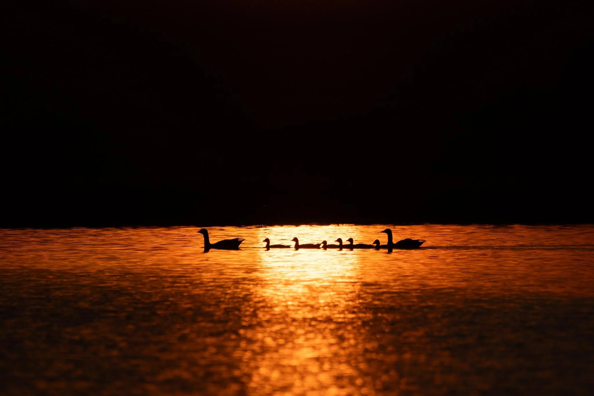 Fotos Webseite Aischgrund-216.jpg