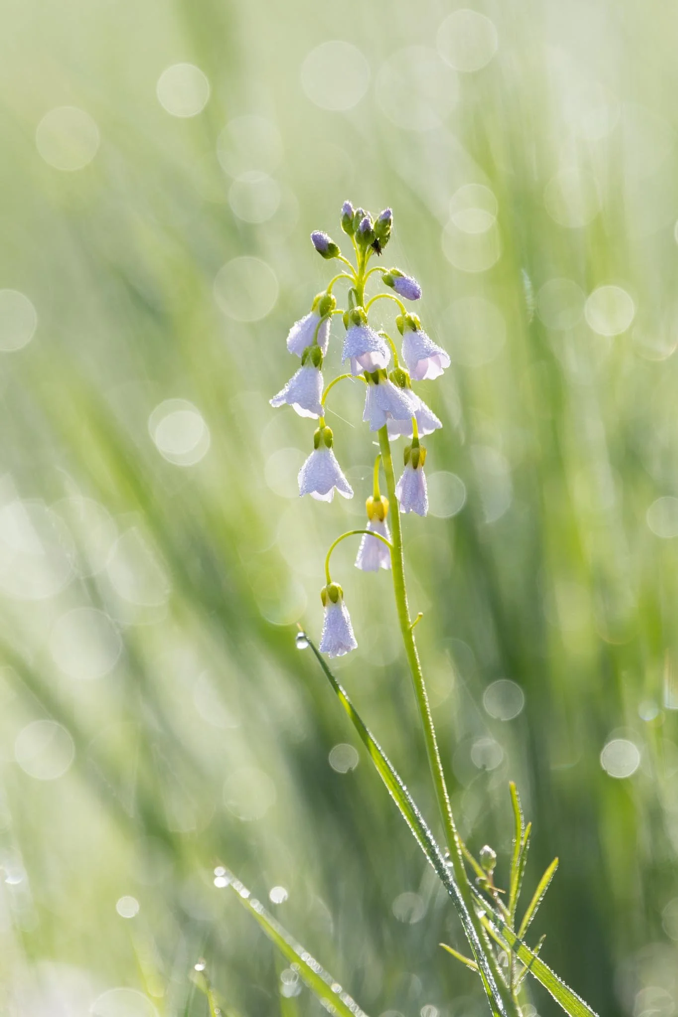 Fotos Webseite Aischgrund-296.jpg