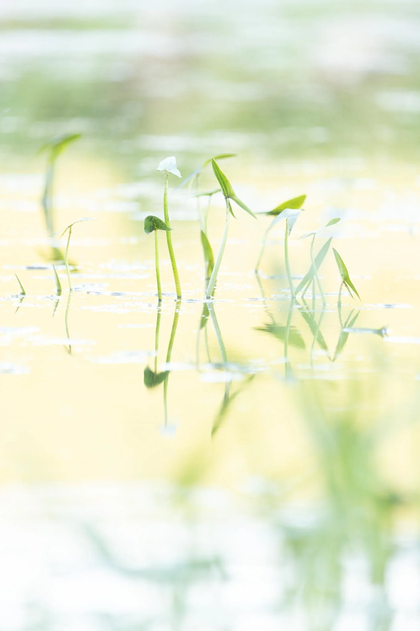 Fotos Webseite Aischgrund-330.jpg