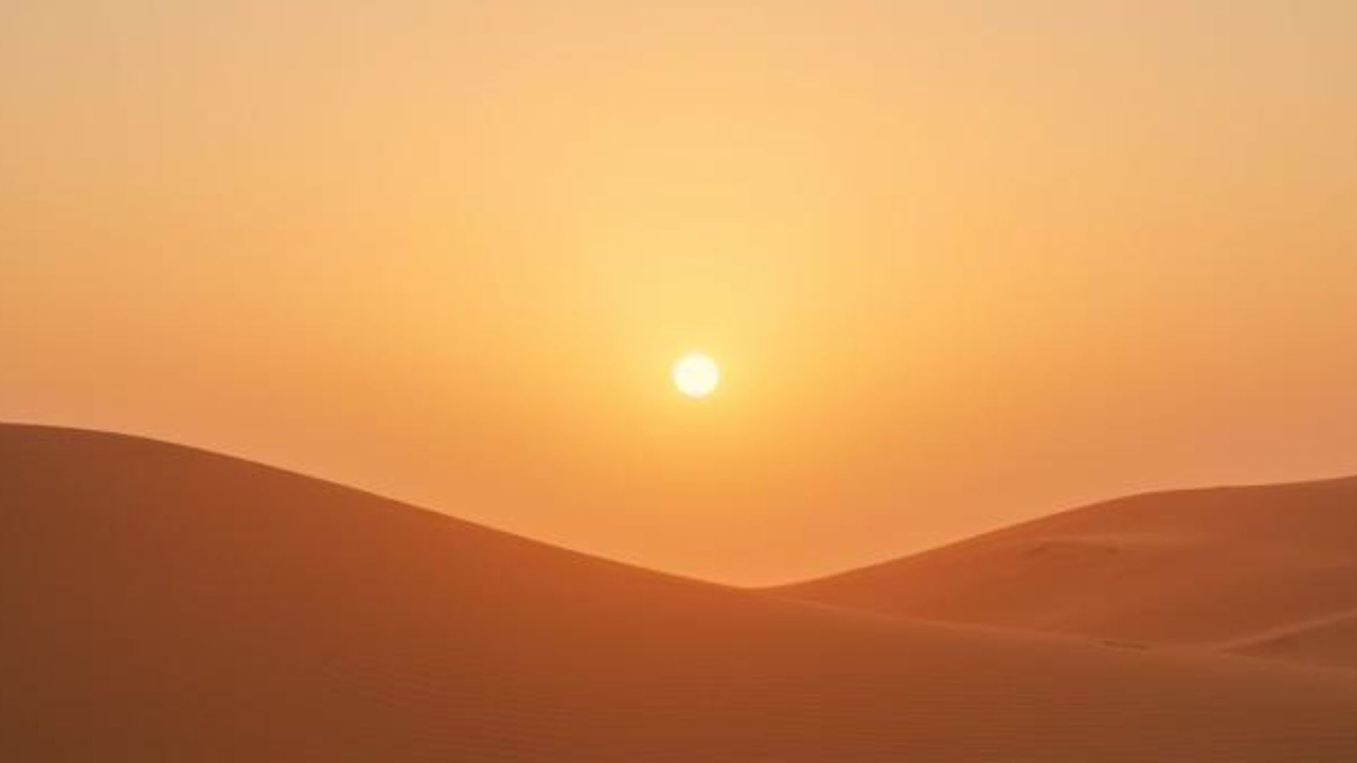 The Sun, the Vitality and the Burnout