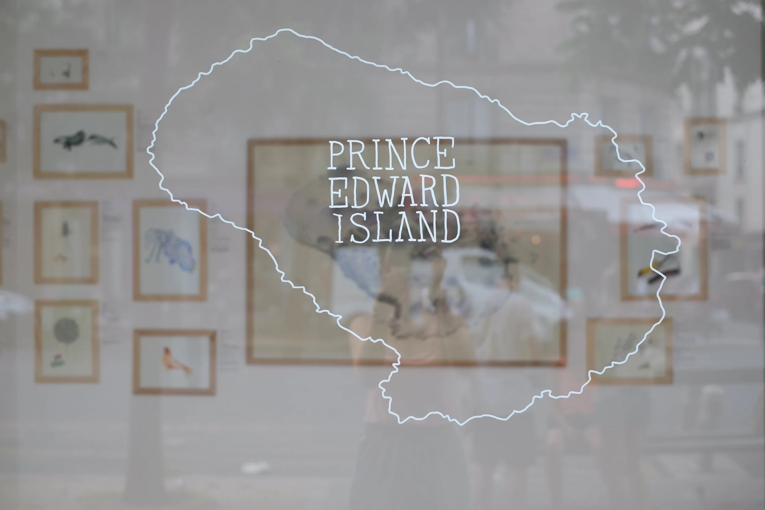 Vitrine avec texte "Prince Edward Island" dans une forme représentant une île, reflet de la rue et dessins d'animaux en arrière-plan.