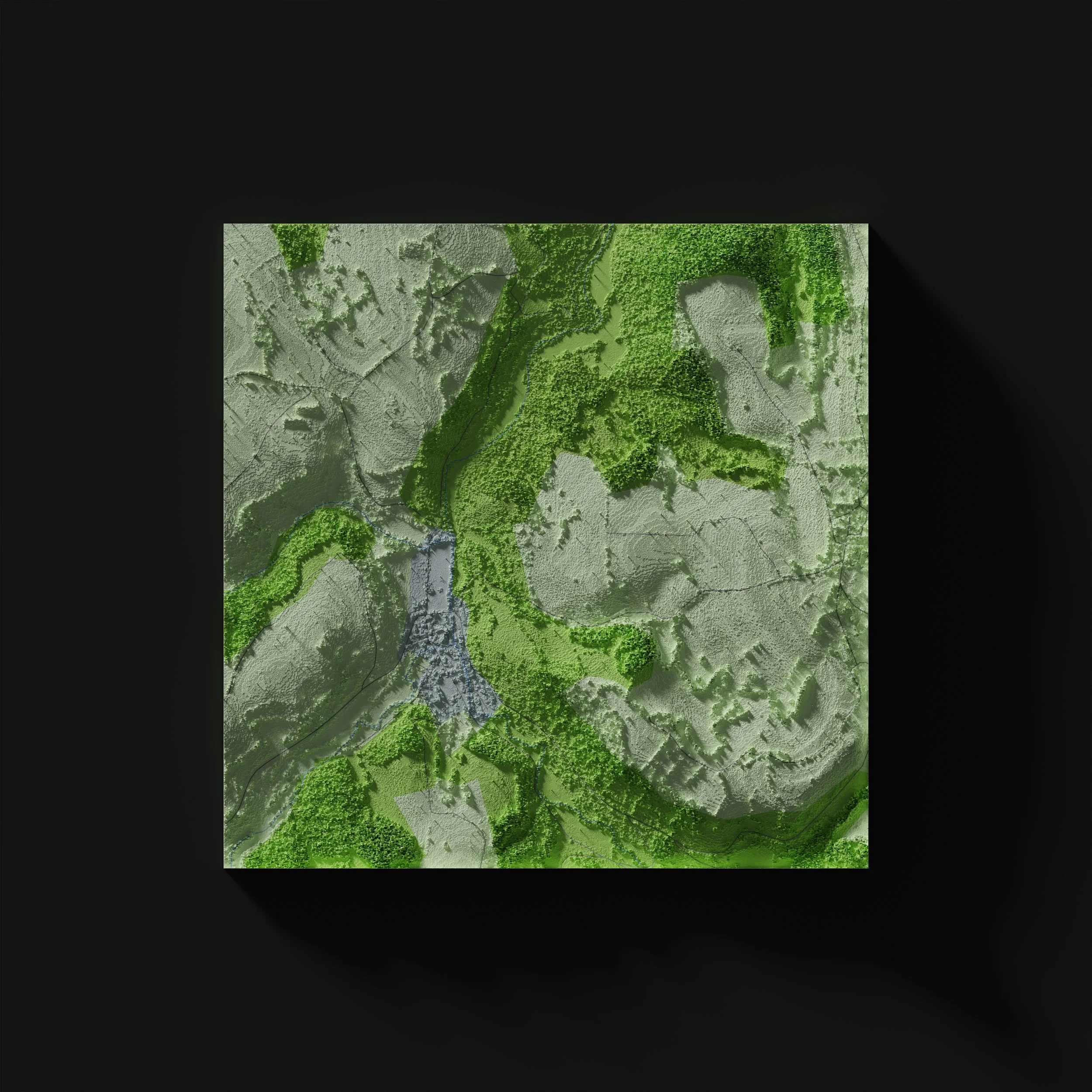 Carte en relief de paysage naturel avec fleuve, forêt et collines vertes, affichée sur un fond noir.