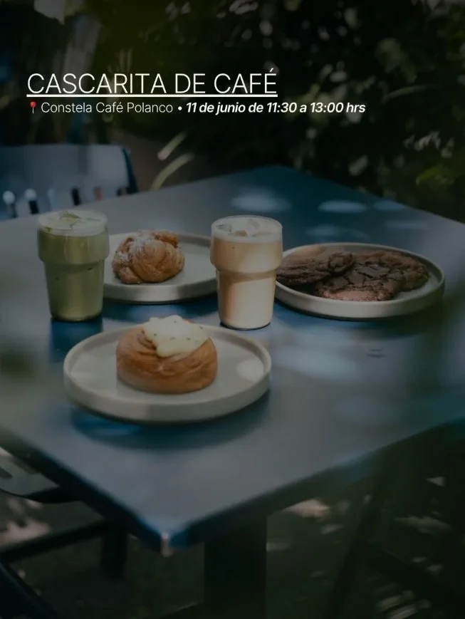Captura de pantalla_8-7-2026_115216_www.instagram.com.jpeg