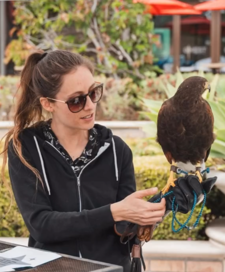 A woman with brown hair in a ponytail, wearing sunglasses and a black hoodie, holds a large bird of prey on her gloved hand.
