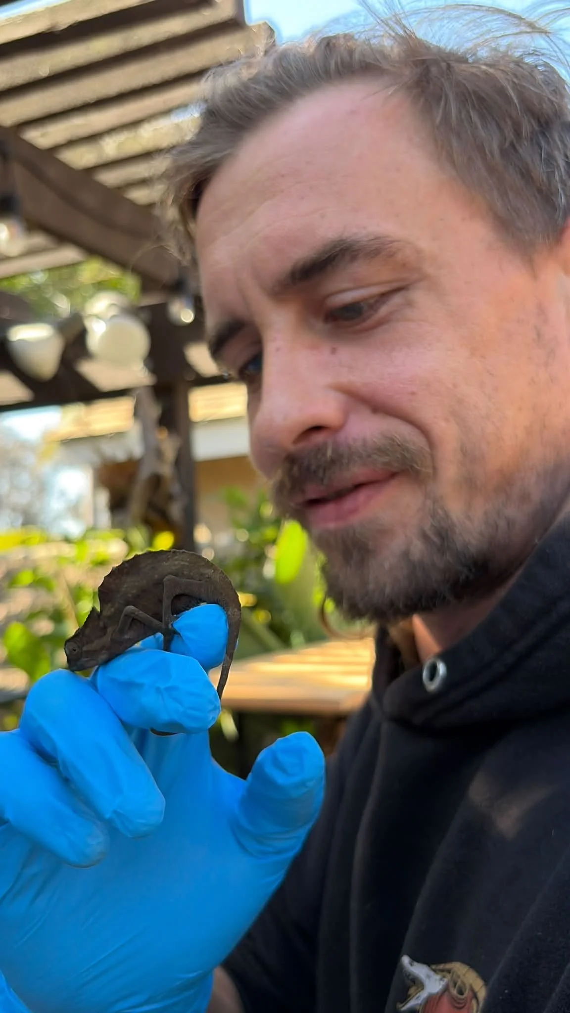 A man with light skin, brown hair, and a beard is holding a small animal by its tail with a gloved hand. The man is wearing a black hoodie, and the background includes outdoor wooden structures and greenery.