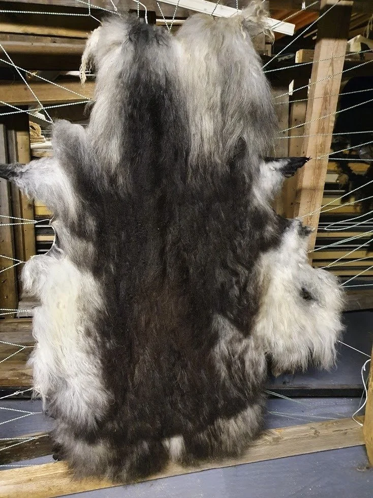 grÃ¡ gÃ¦ra.jpg