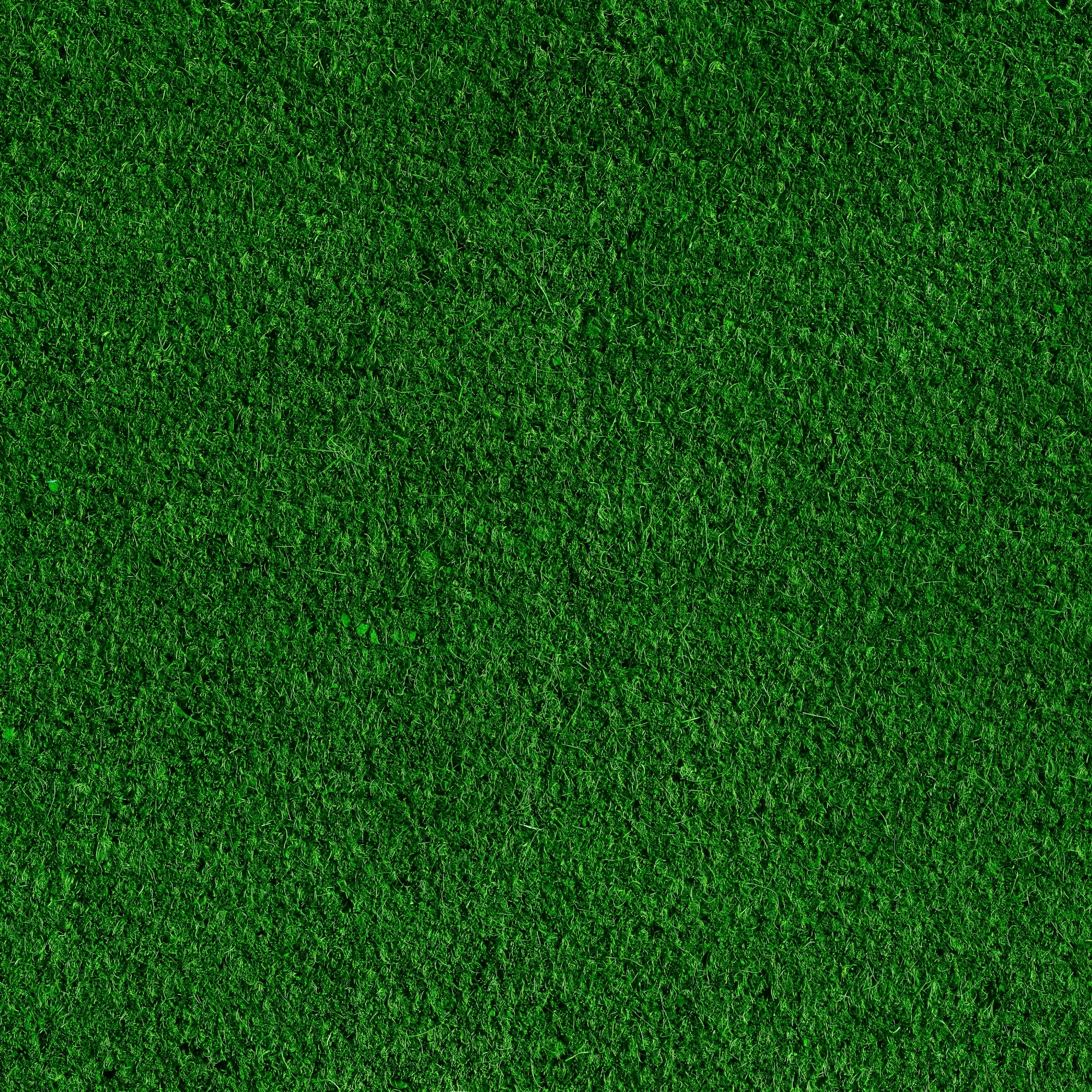 grass backdrop