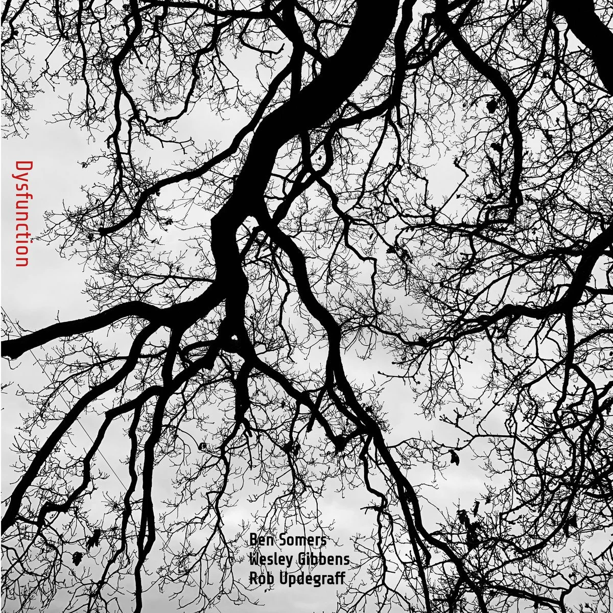 Silhouette of leafless tree branches against a cloudy sky.