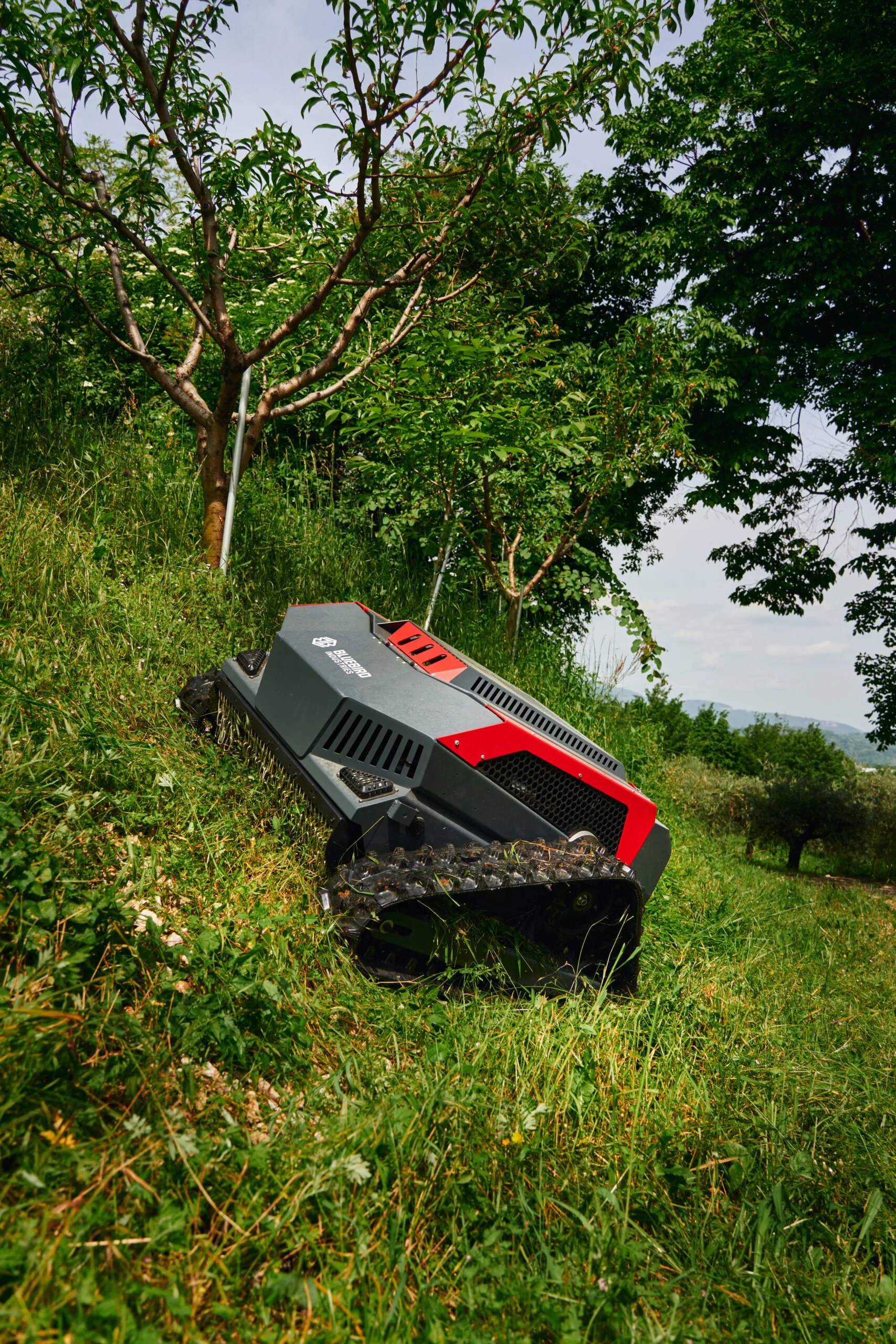 BlueBird Fjärrstyrd Släntklippare, röd och svart, på en gräsmatta under ett träd i en trädgård.