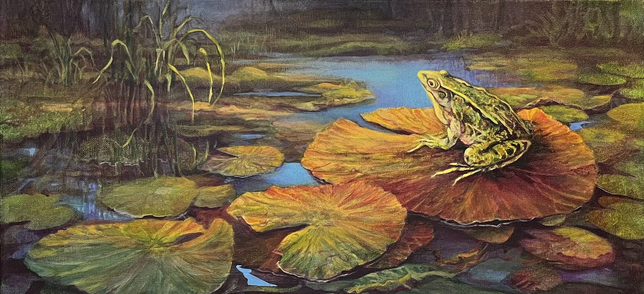 Deadline to submit entry to NOAA Juried show