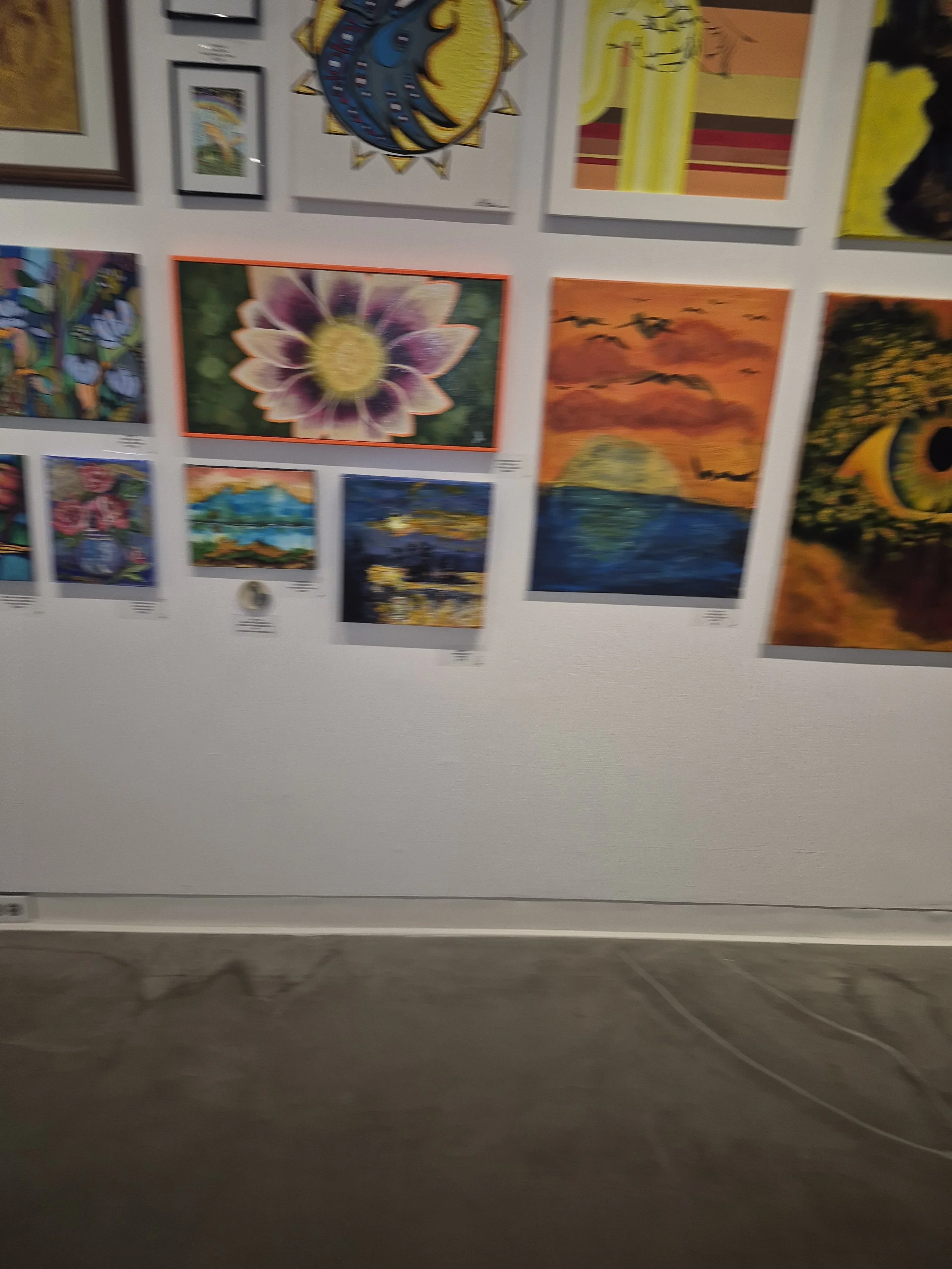 An art gallery wall featuring various colorful paintings, including a close-up of a purple flower, a sunset over the ocean, a black cat with yellow accents, and abstract designs.