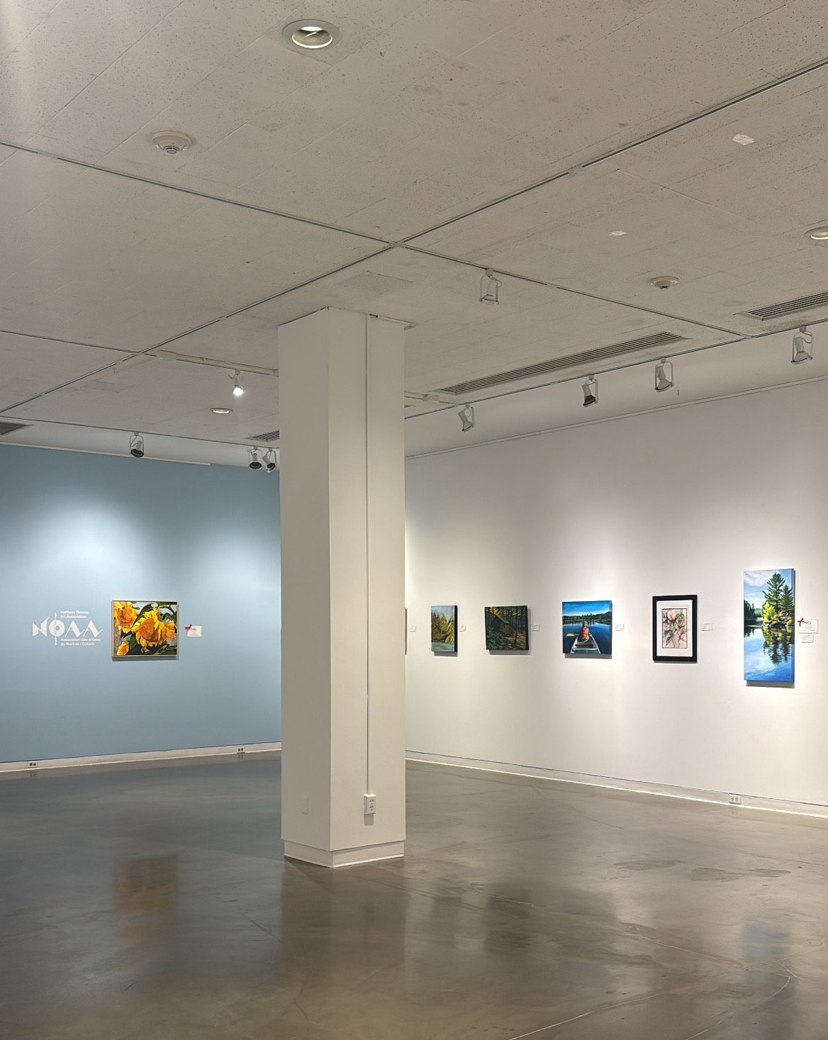 Interior of an art gallery with paintings displayed on white and light blue walls, concrete floors, and ceiling spotlights illuminating the artwork.