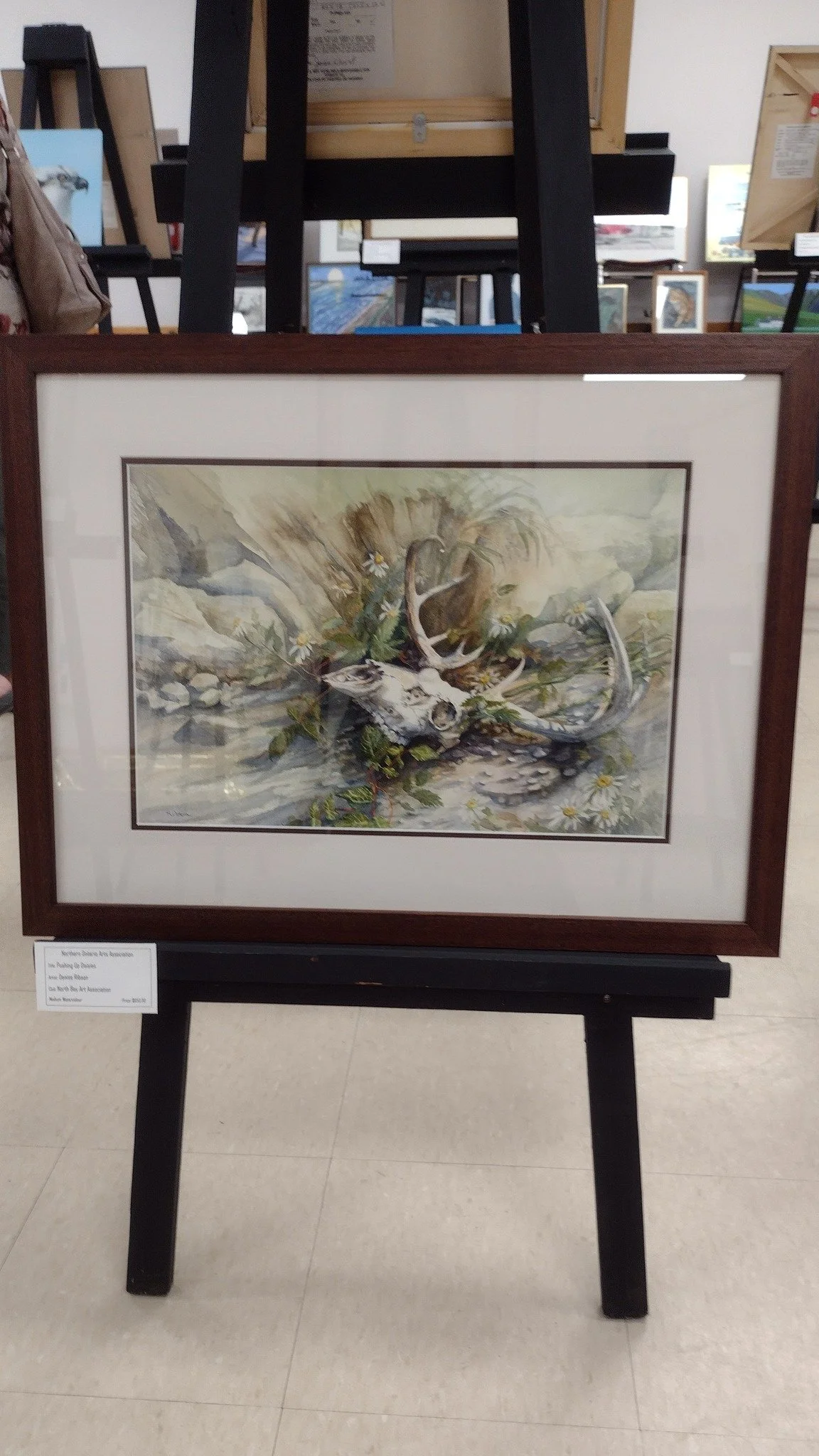 Framed oil painting of a deer skull with antlers surrounded by greenery and small daisies, placed on a black easel in an art gallery.