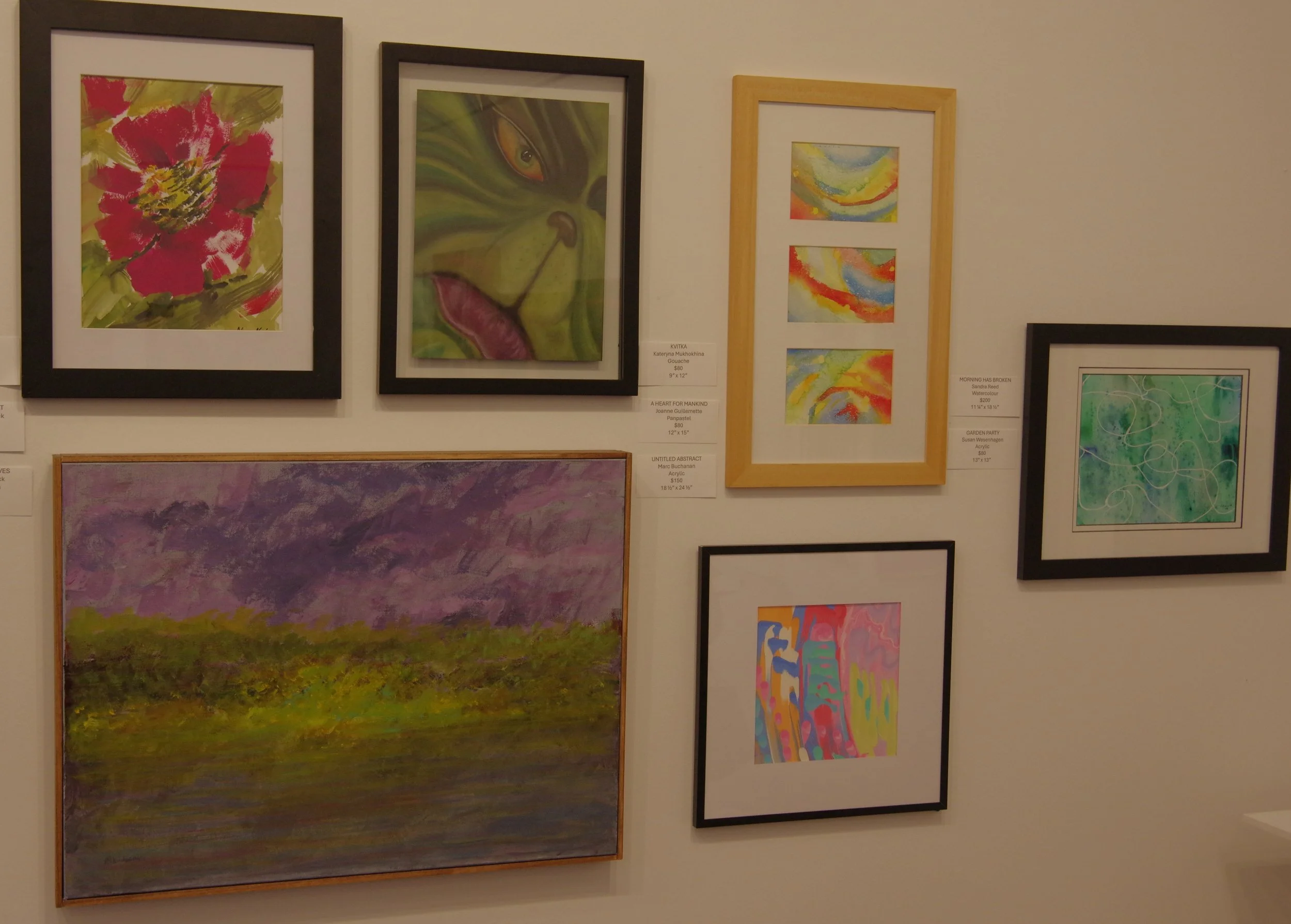 Gallery wall with various colorful framed abstract and nature-themed artwork.