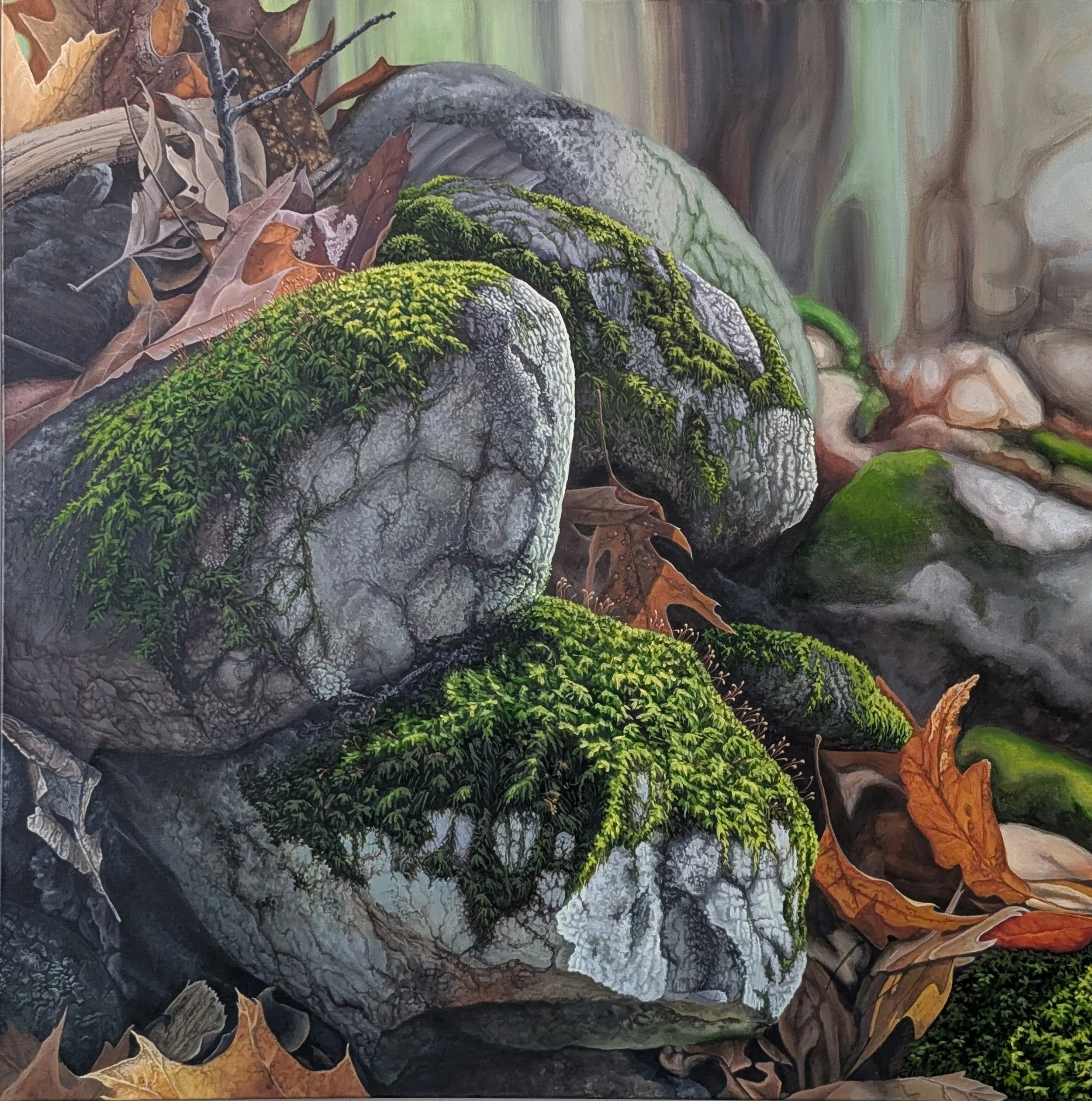 Close-up of moss-covered rocks among fallen autumn leaves.
