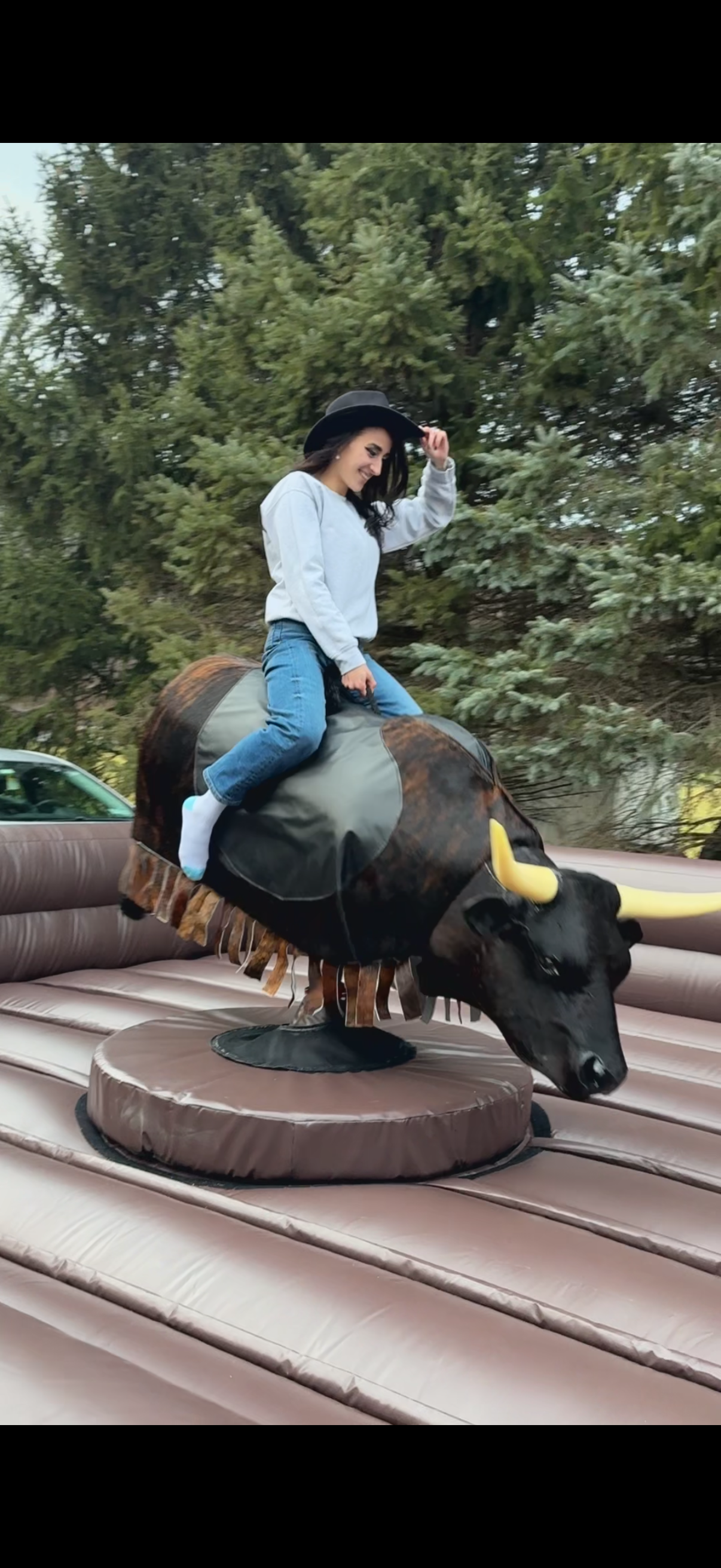 Mechanical Bull