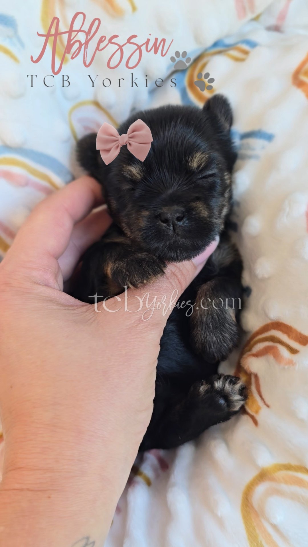 1000159234.jpg