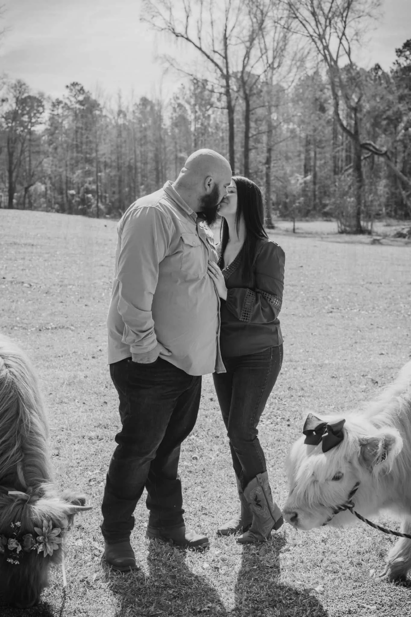 A couple sharing a kiss outdoors in a park, with two dogs nearby, one with a bow in its hair.