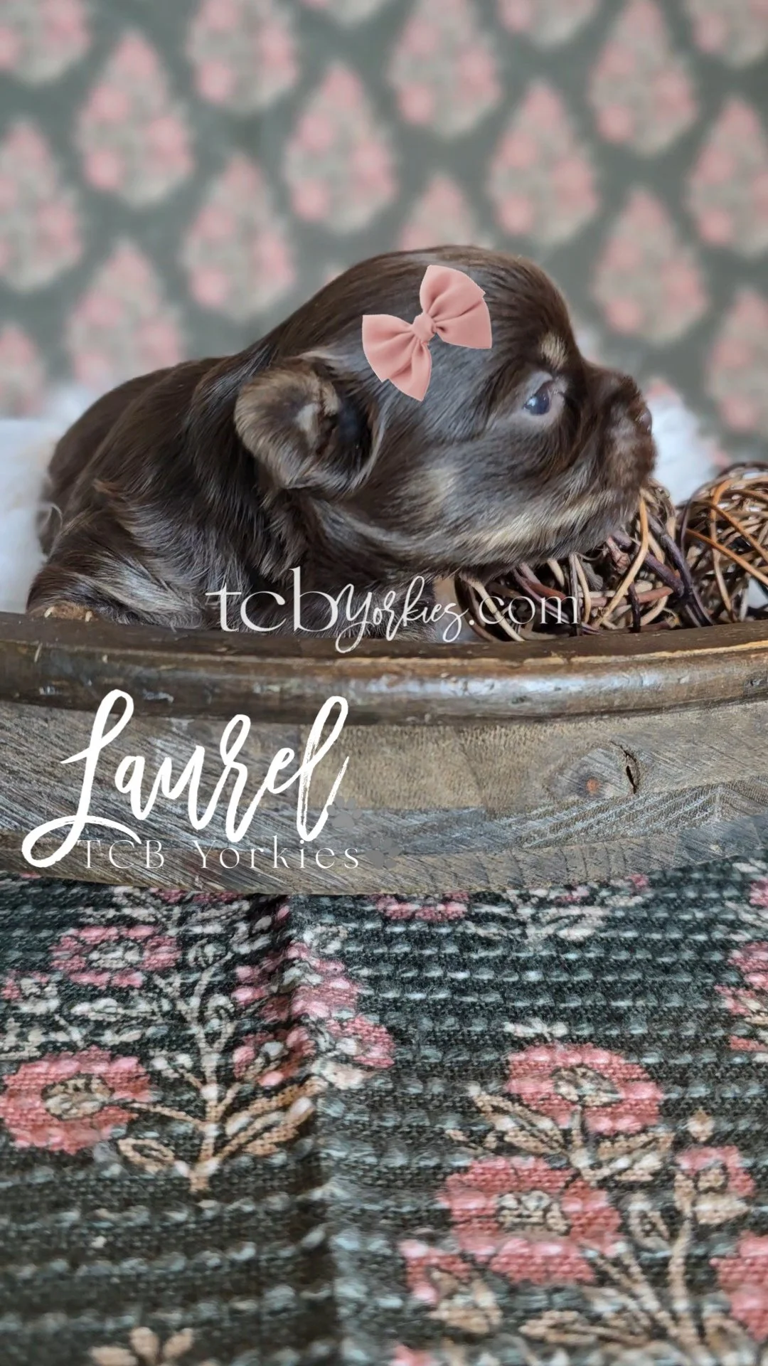 A small puppy with brown and black fur, wearing a pink bow on its head, laying inside a woven basket on a patterned rug.