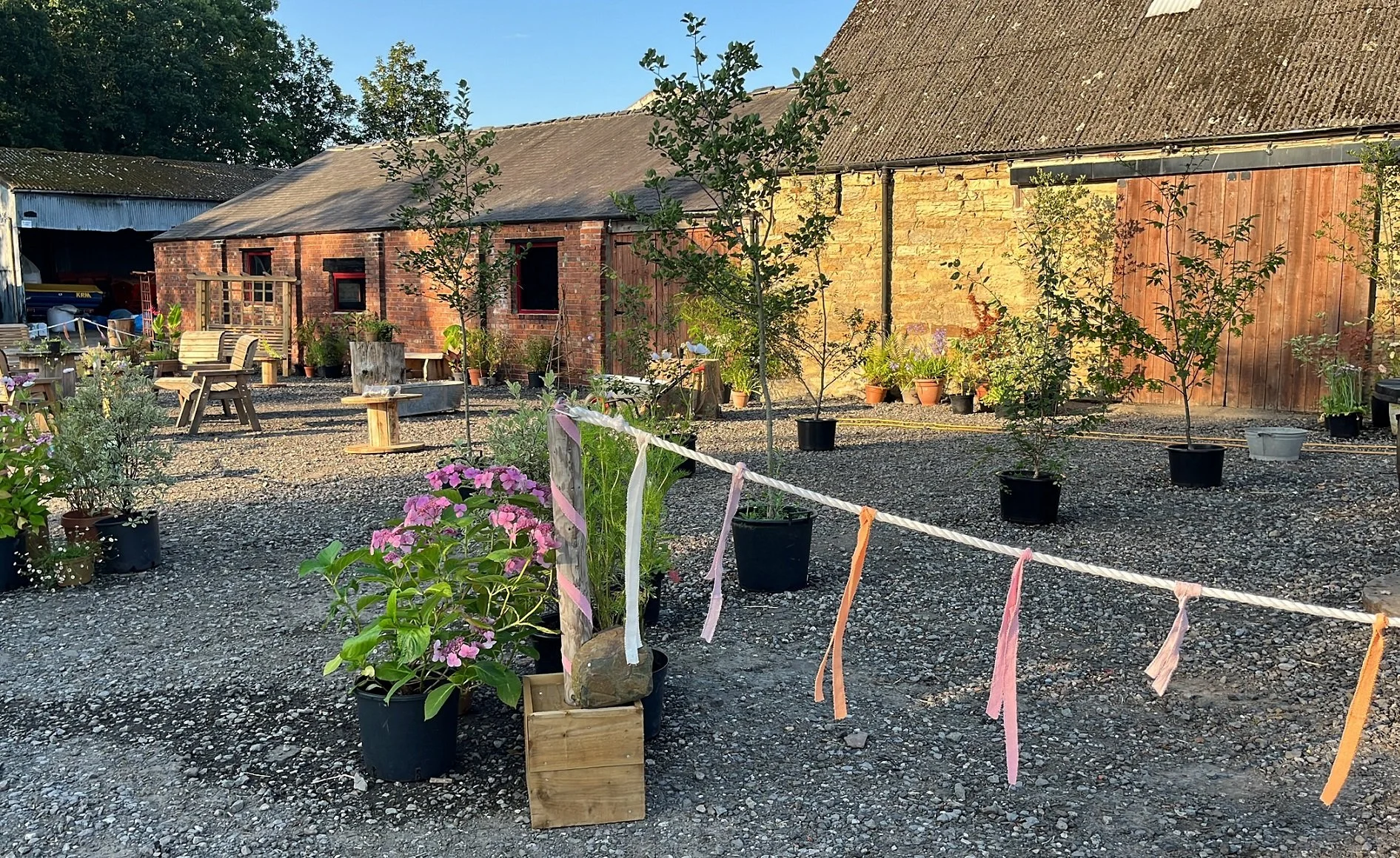 Charlotte and Ed 17.jpg