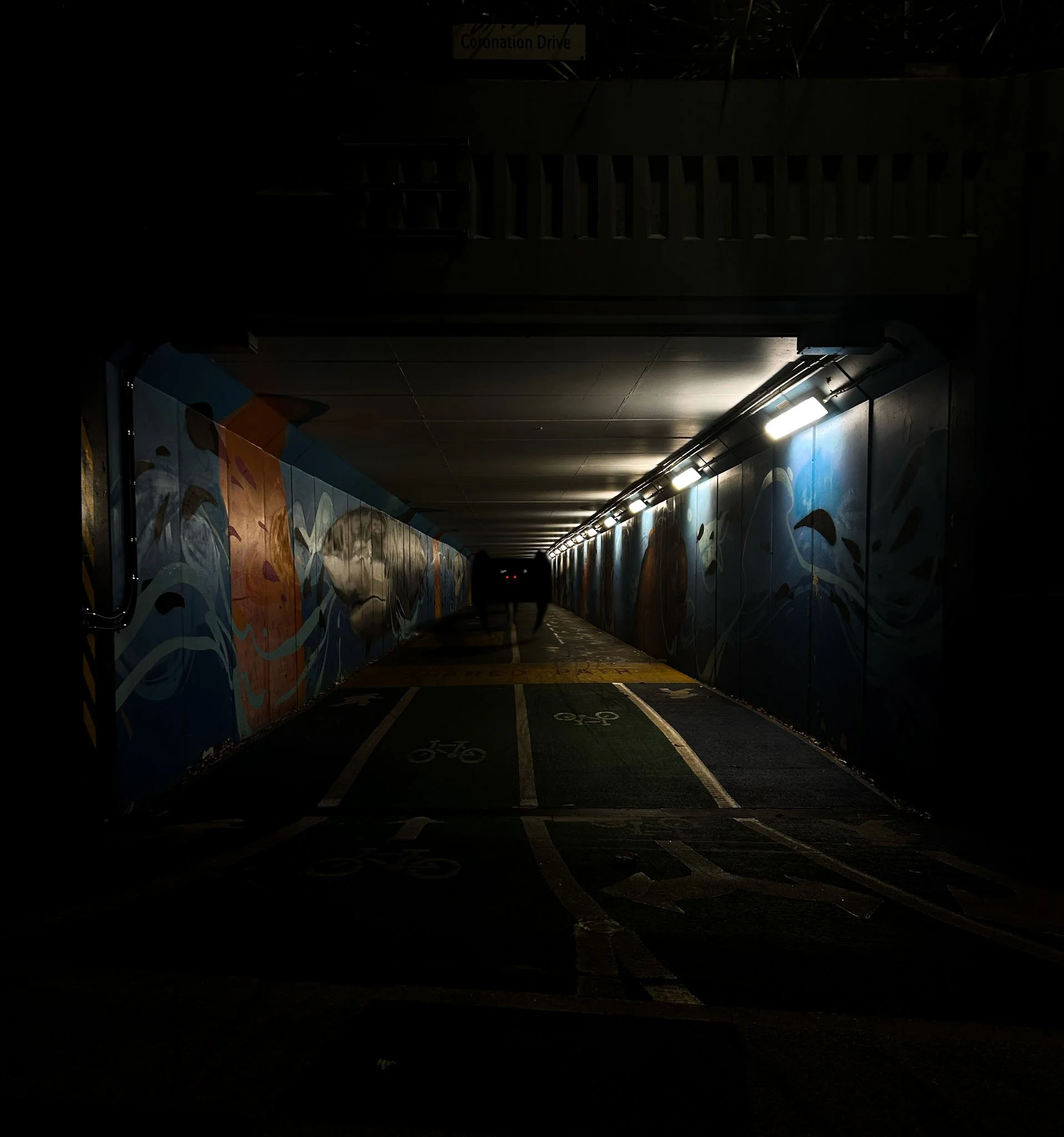 Mothman in Tunnel.jpg