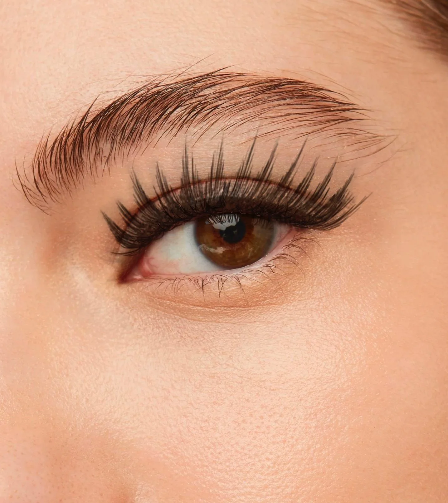 Nahaufnahme eines Auges mit braunen Iris, langen Wimpern und gut gepflegter Augenbraue.