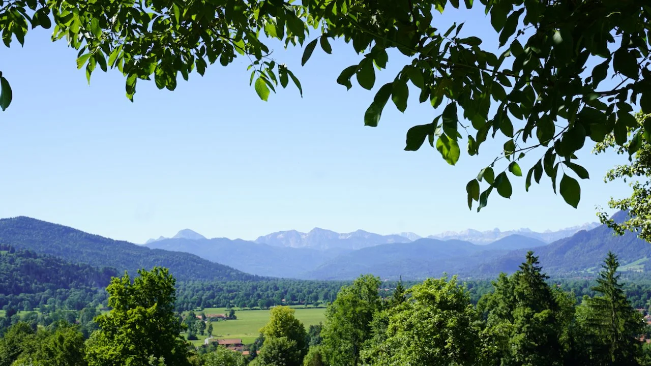 Berglandschaft mit Wäldern und blauen Bergen im Hintergrund, Sicht durch grüne Baumzweige im Vordergrund, sonniger Tag.
