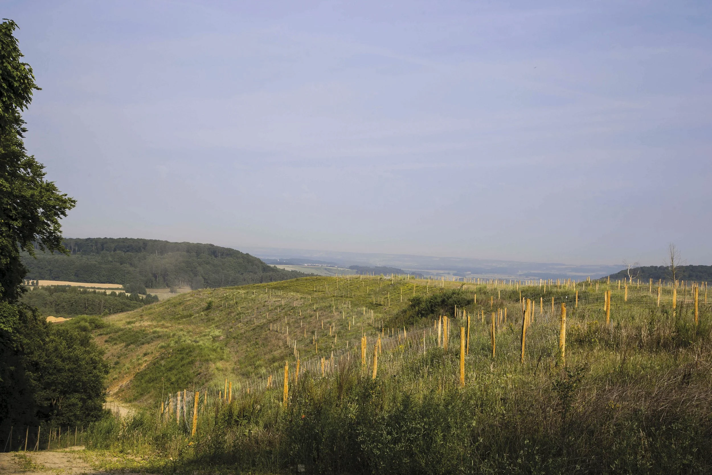 71Carrieres Feidt_Renaturation.jpg
