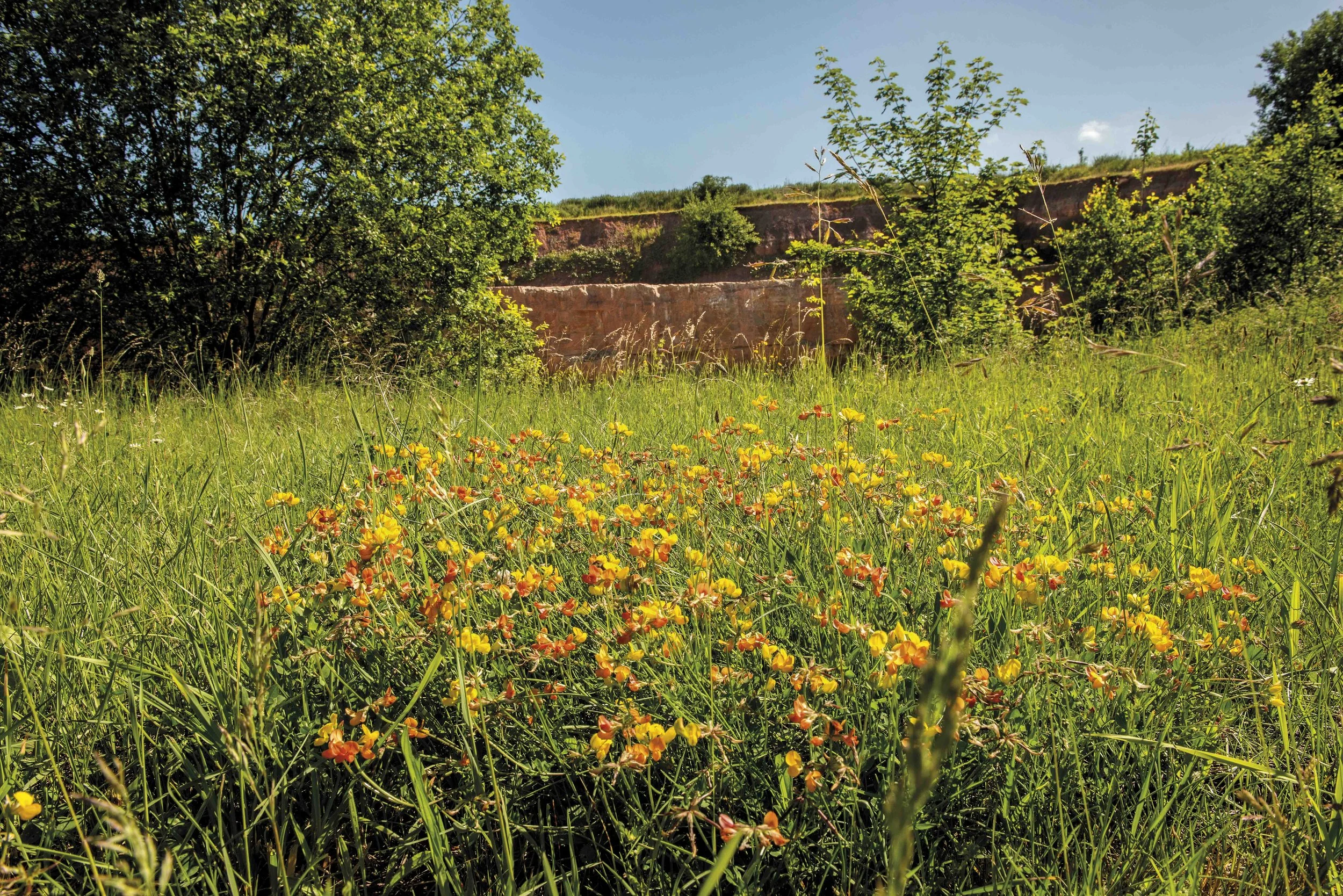67Carrieres Feidt_Renaturation.jpg