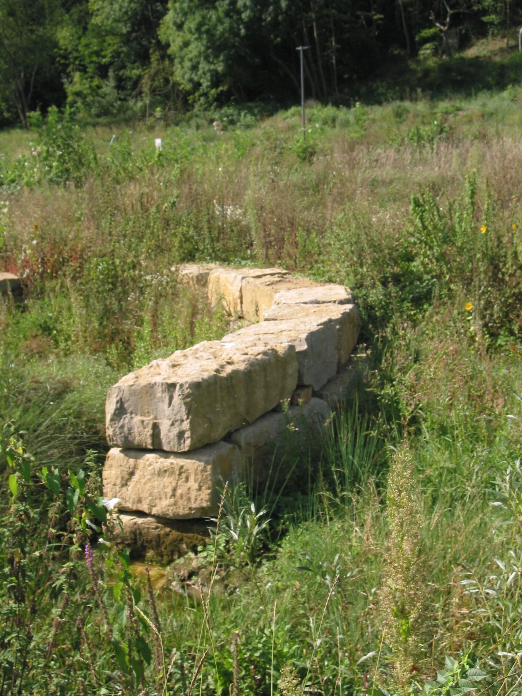 IMG_0028.JPG