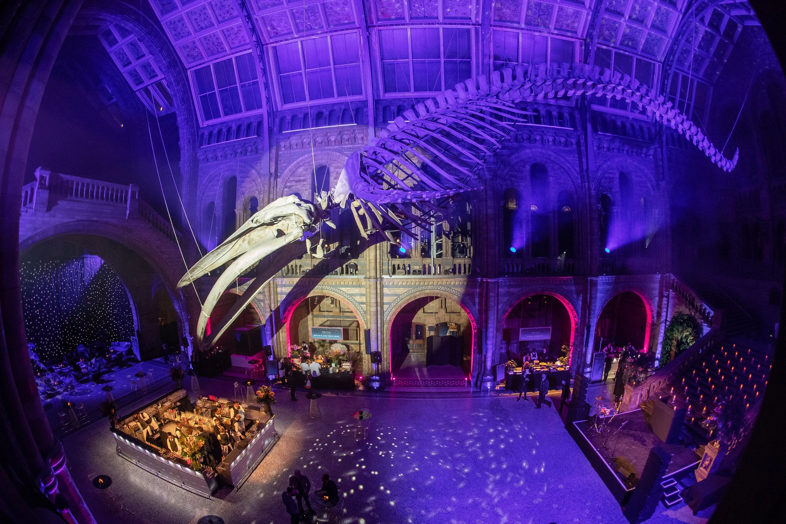 An indoor event space with a large whale skeleton suspended from the ceiling, colorful purple and red lighting, and people mingling around tables and displays.