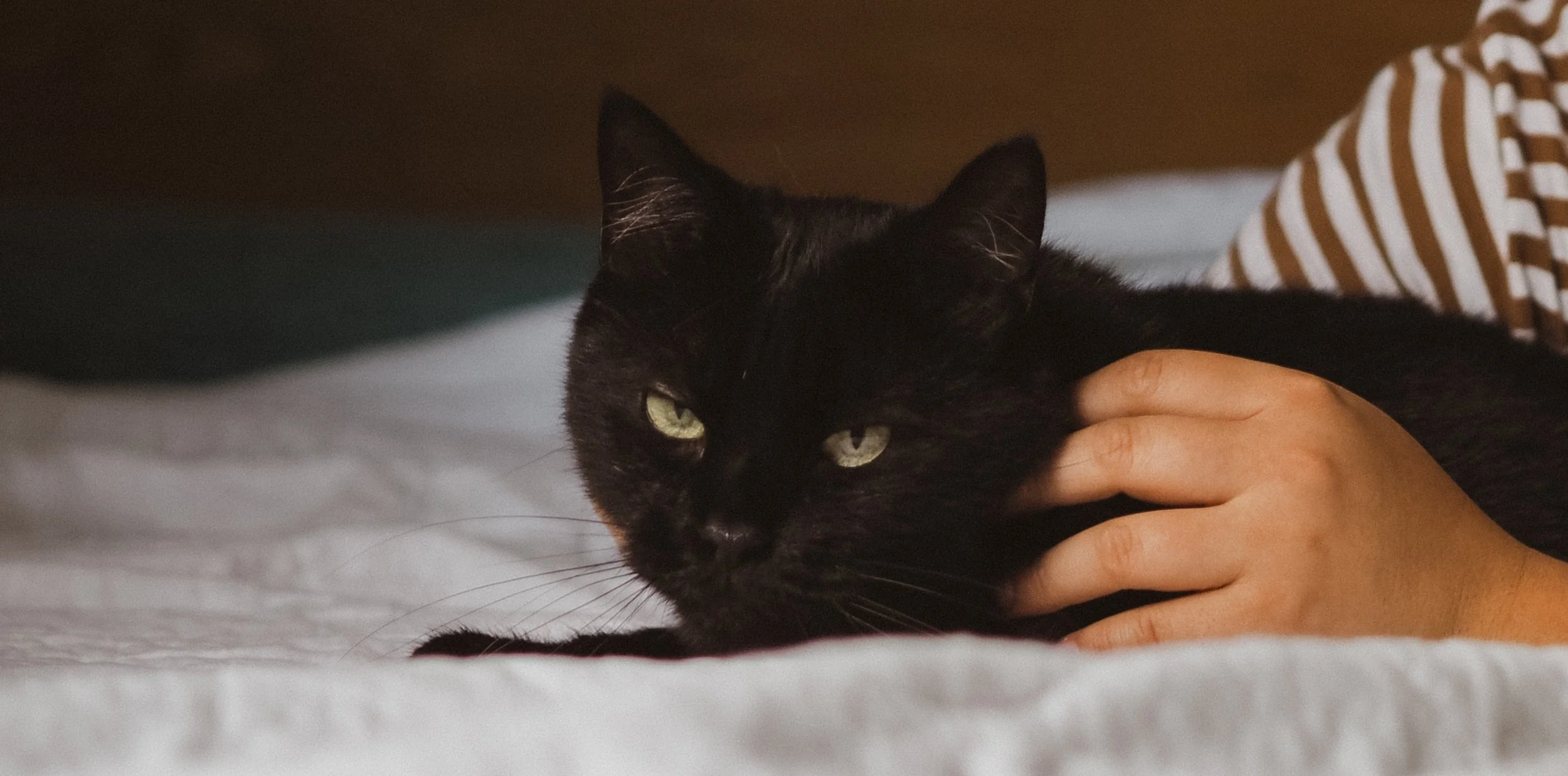 Agatha and Nori-36.jpg