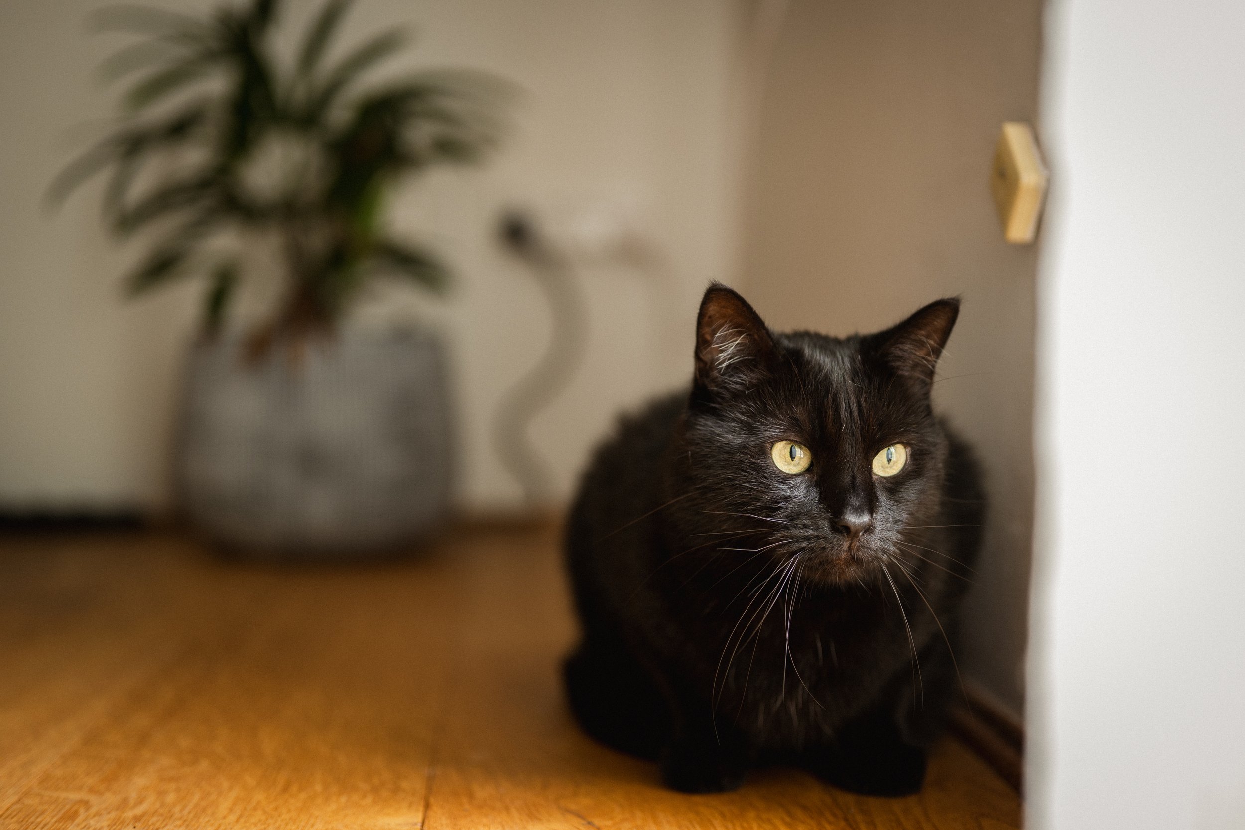 Nori & Agatha-26.jpg