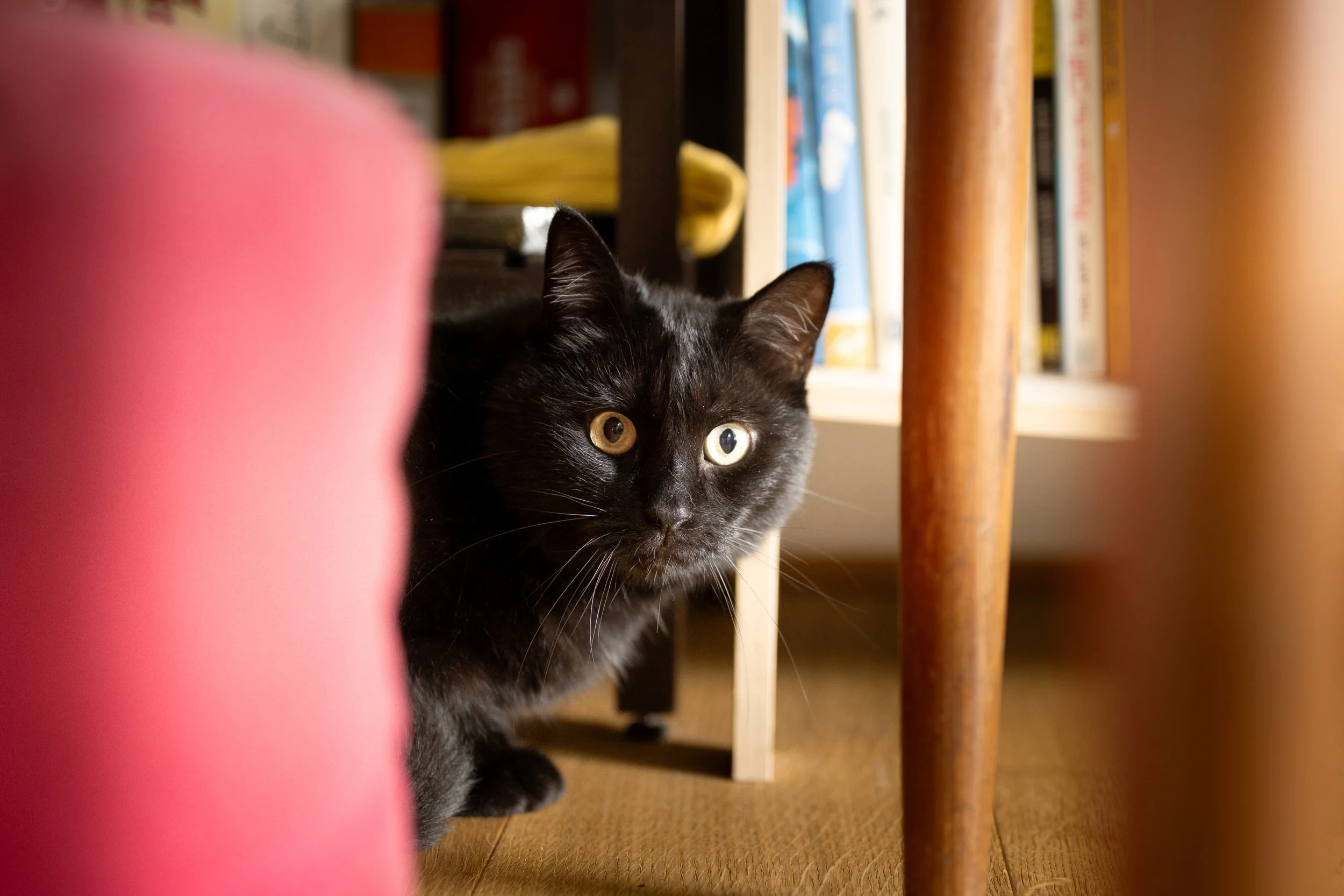 Nori & Agatha-11.jpg