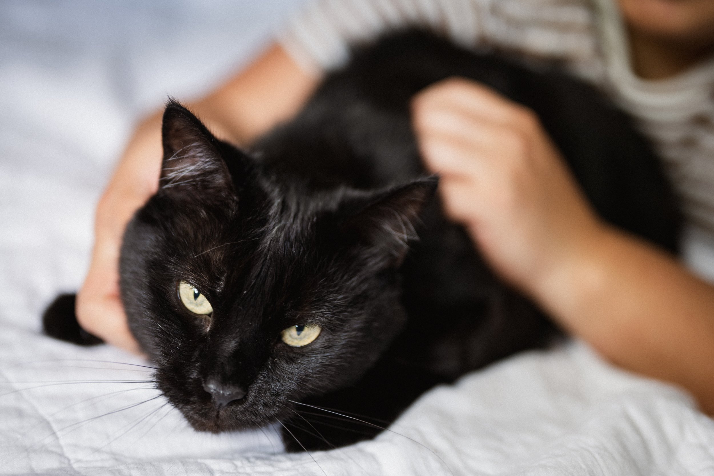 Nori & Agatha-23.jpg