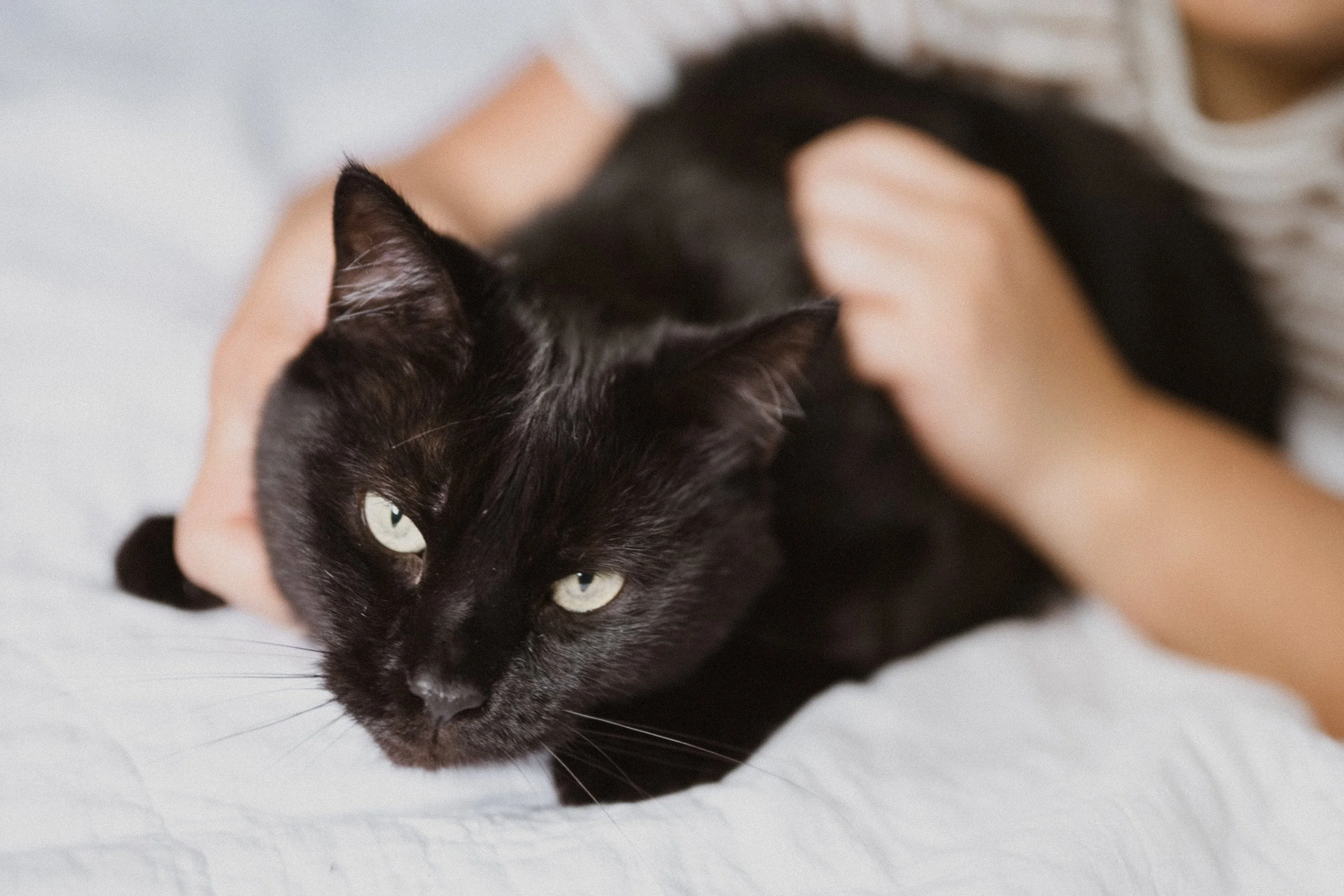 Agatha and Nori-28.jpg