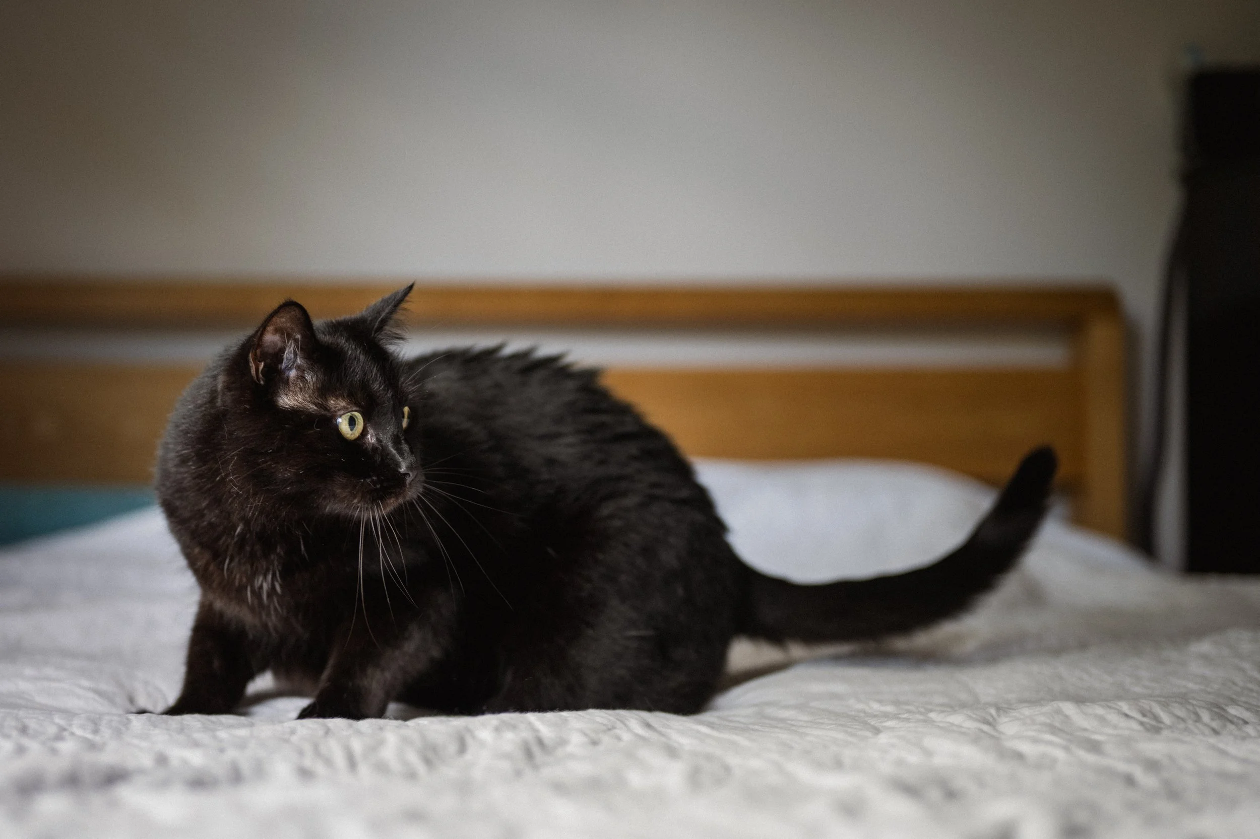 Nori & Agatha-46.jpg