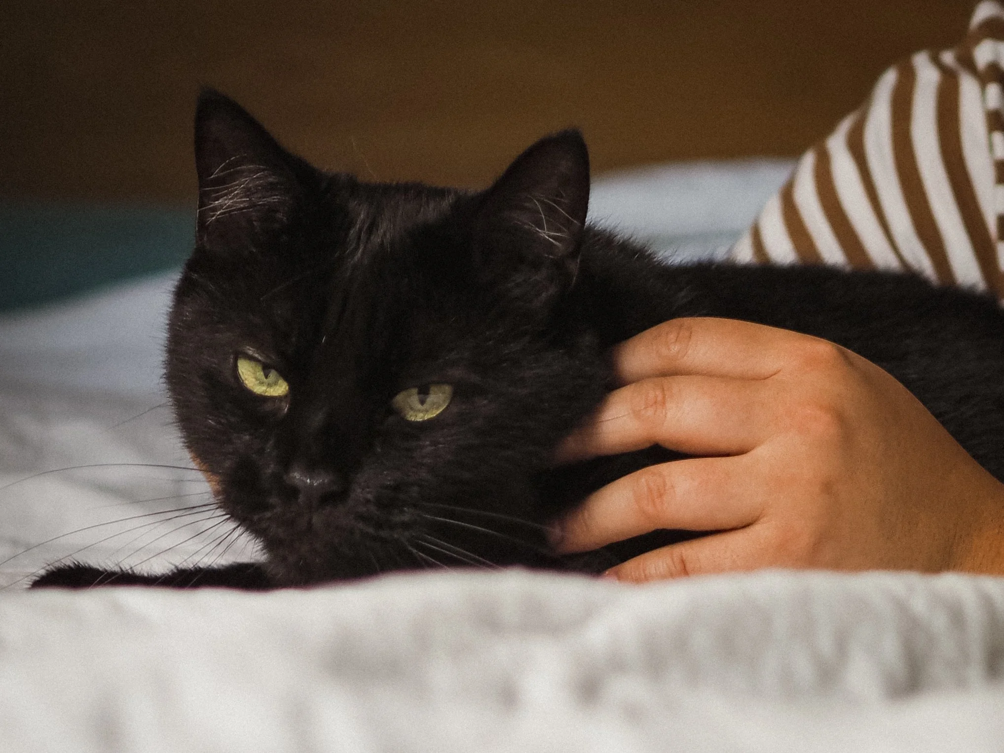 Nori & Agatha-01.jpg