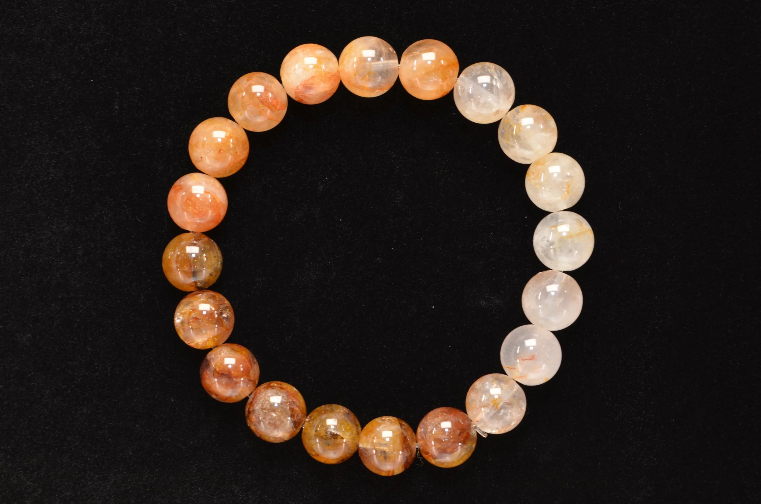 346 Yellow Gum Flower (2).JPG