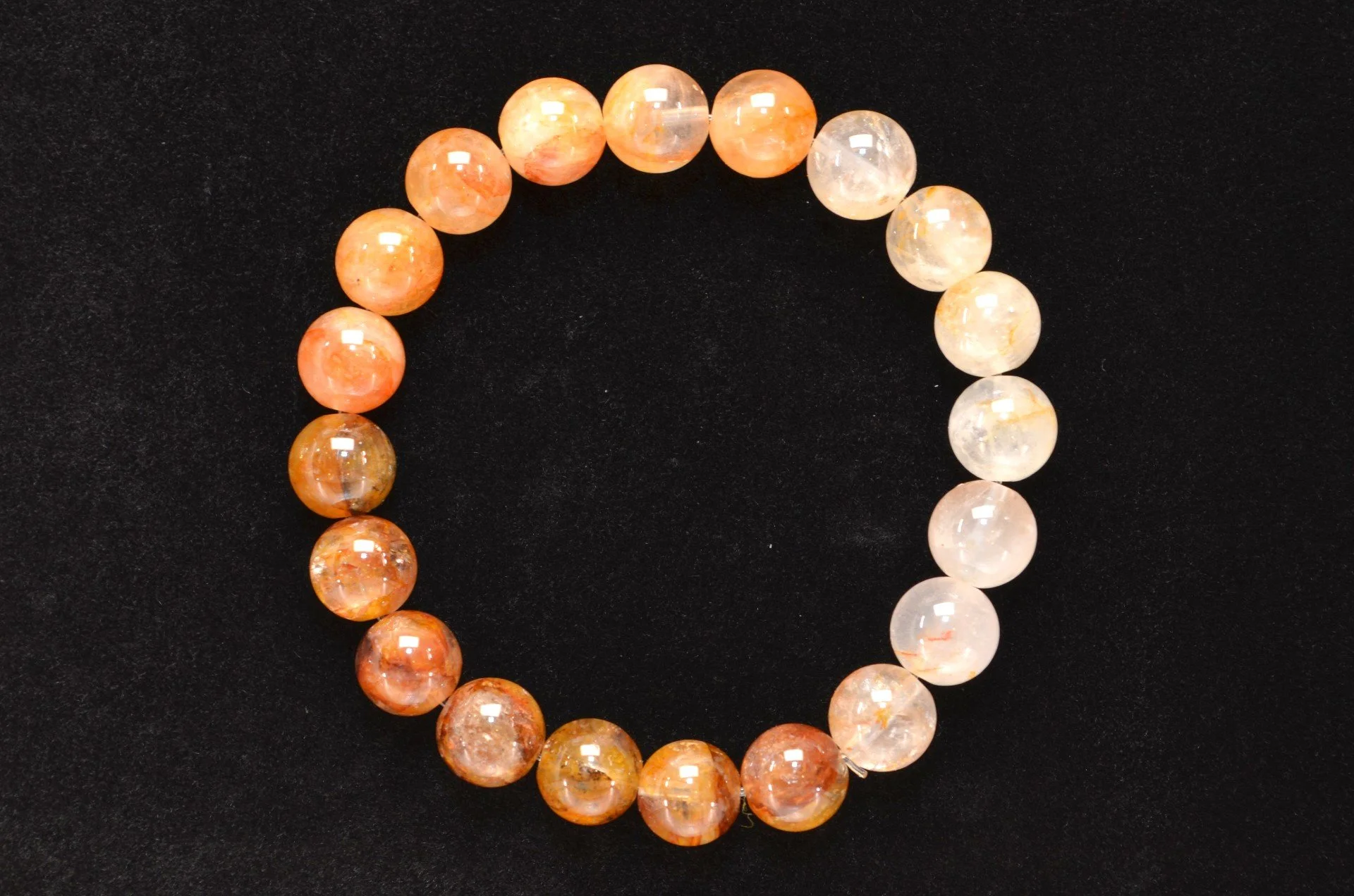 346 Yellow Gum Flower (2A).jpg