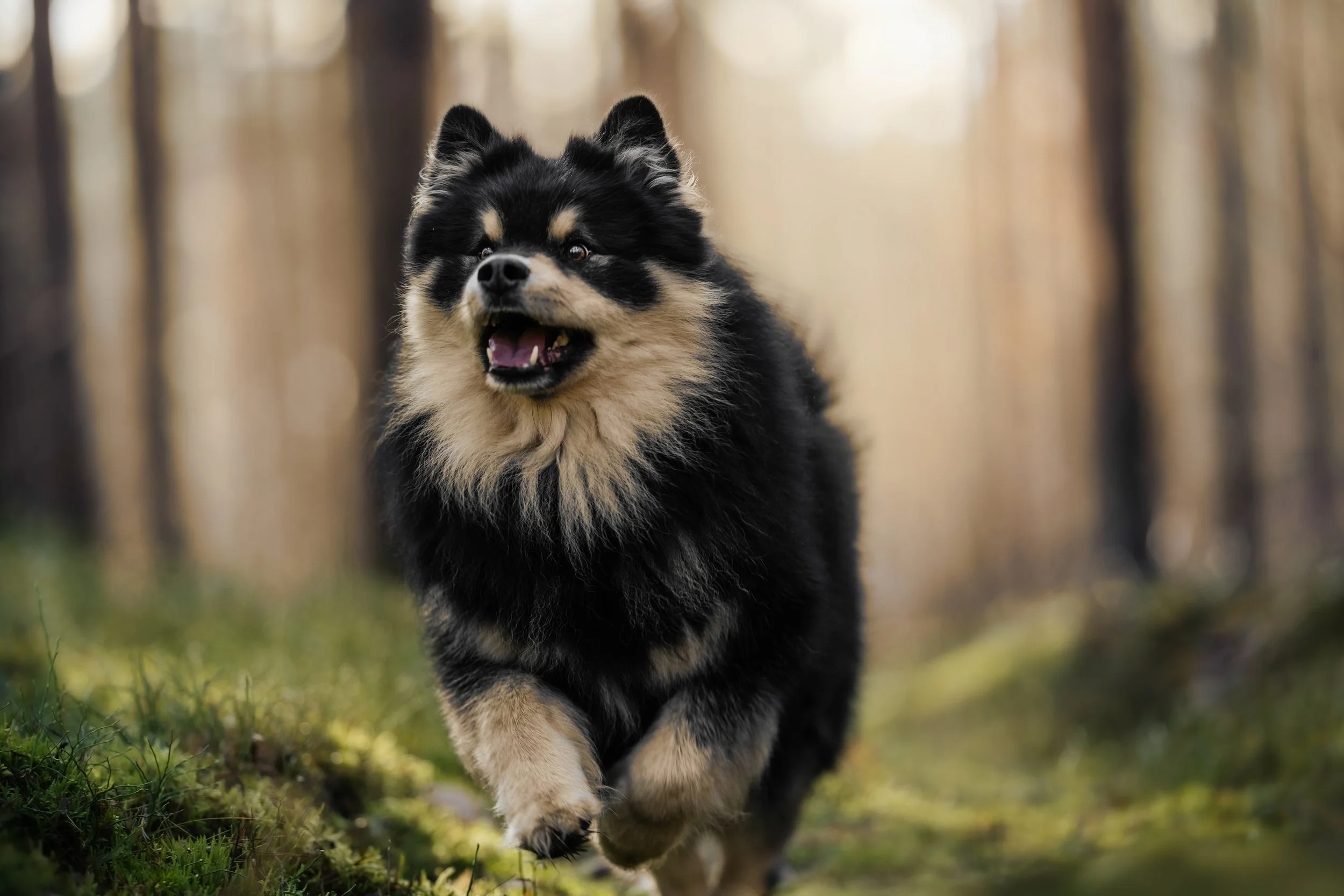 DSC00891-Edit (1).jpeg